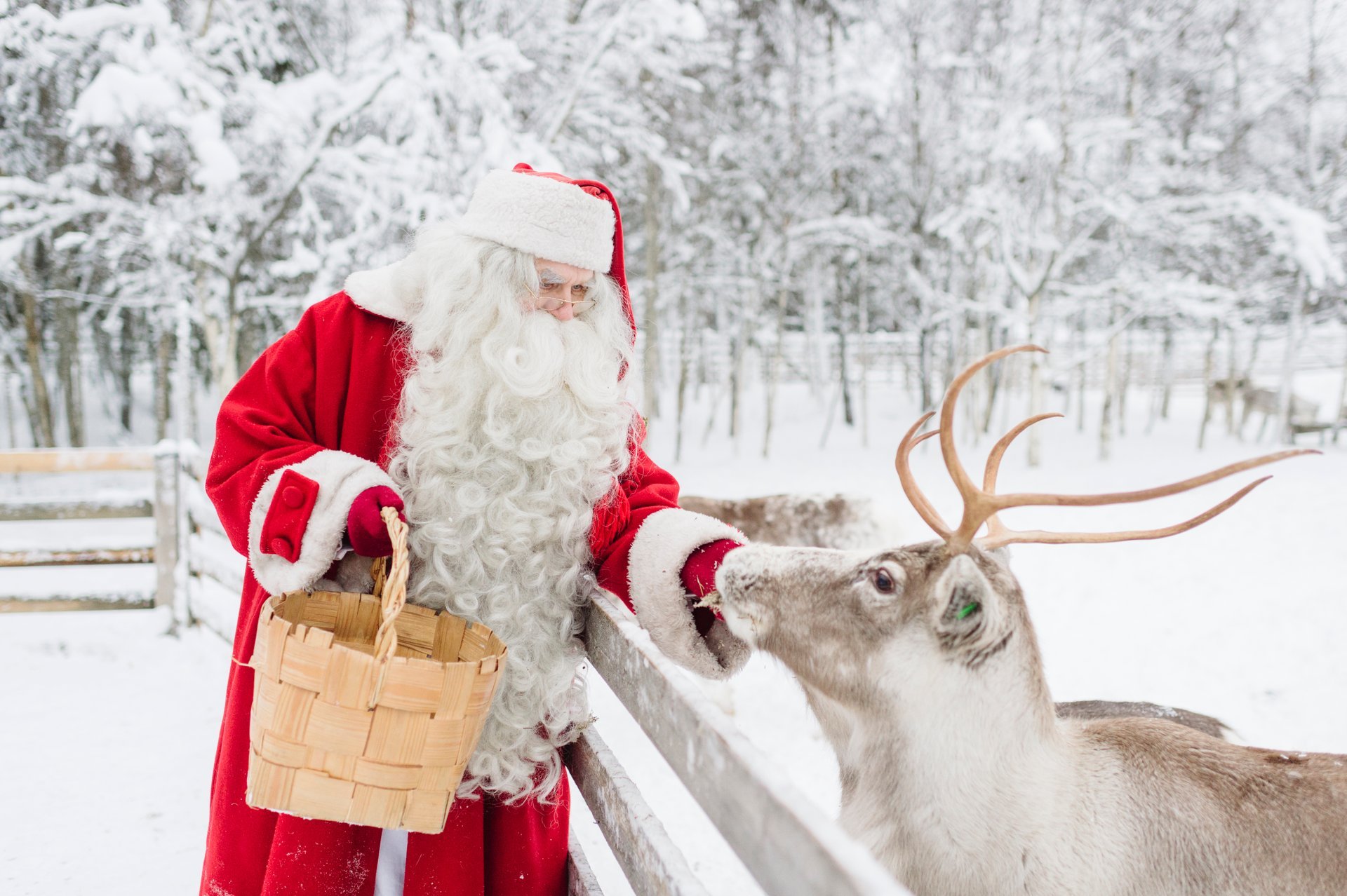 Santa Claus Village 20232024 in Finland Dates
