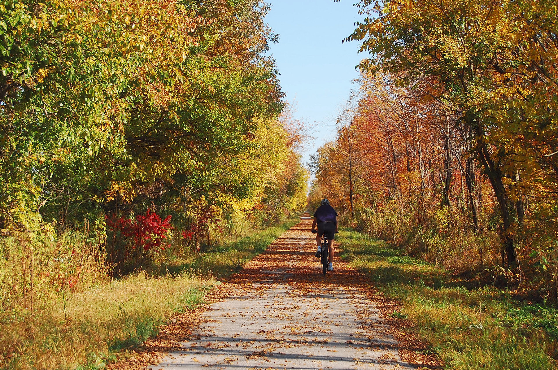 Colori autunnali dell'Indiana