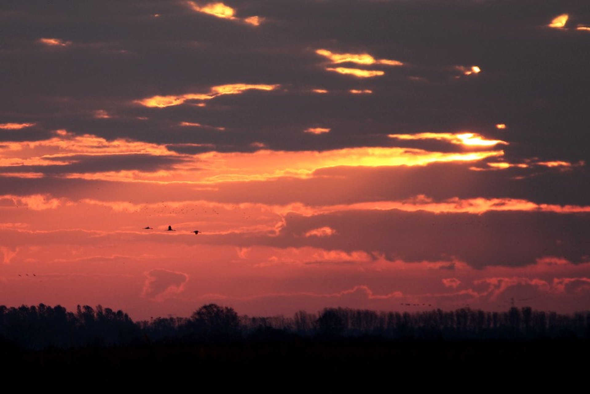 Nationalpark Hortobágy