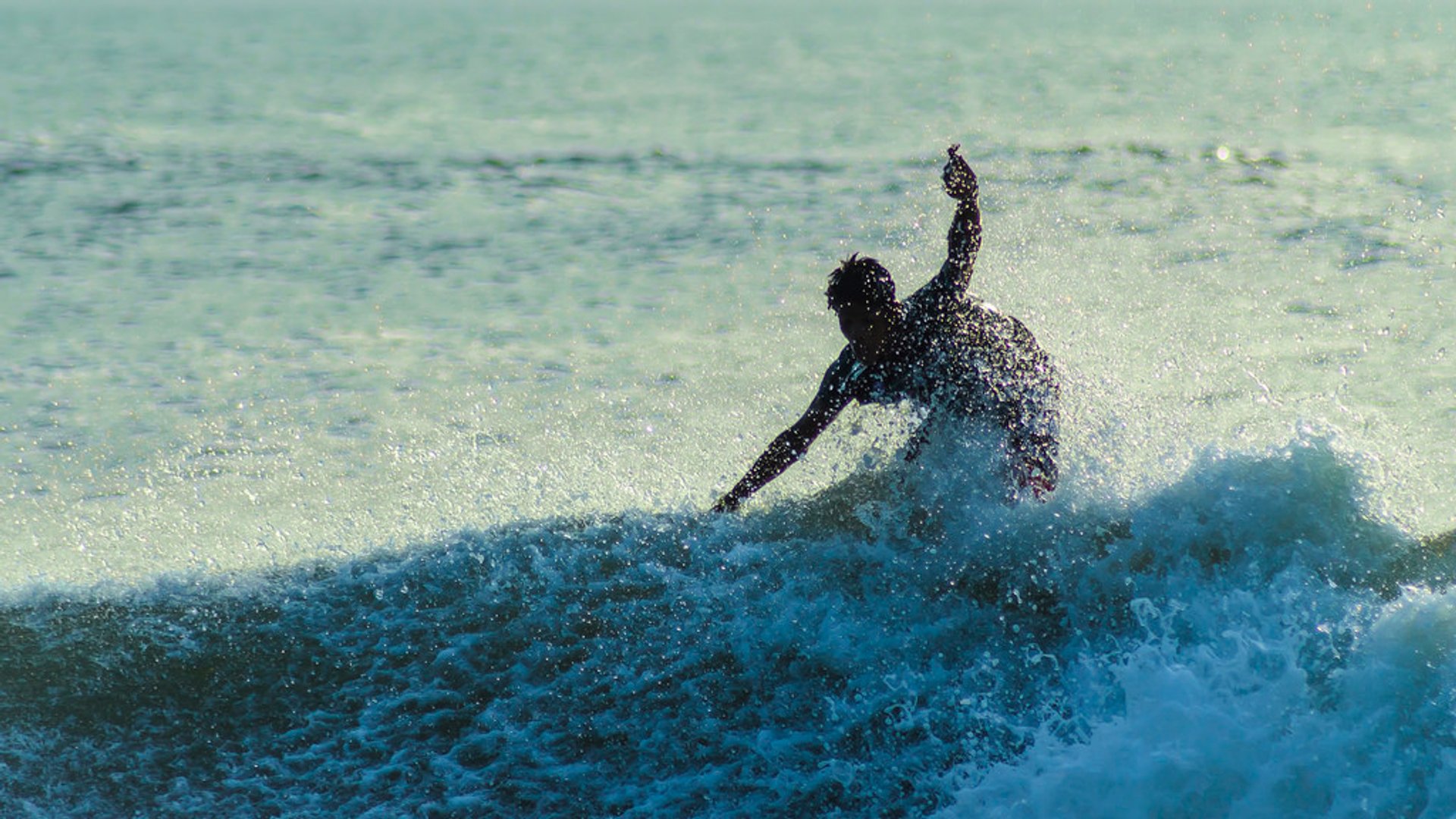 Surfen oder Wellenreiten