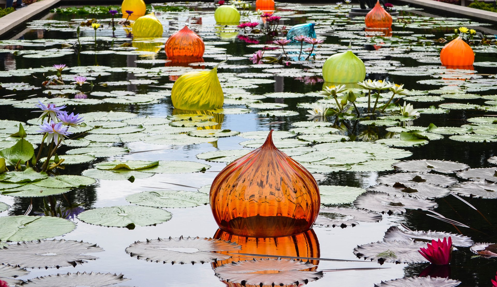 Festival Japonês