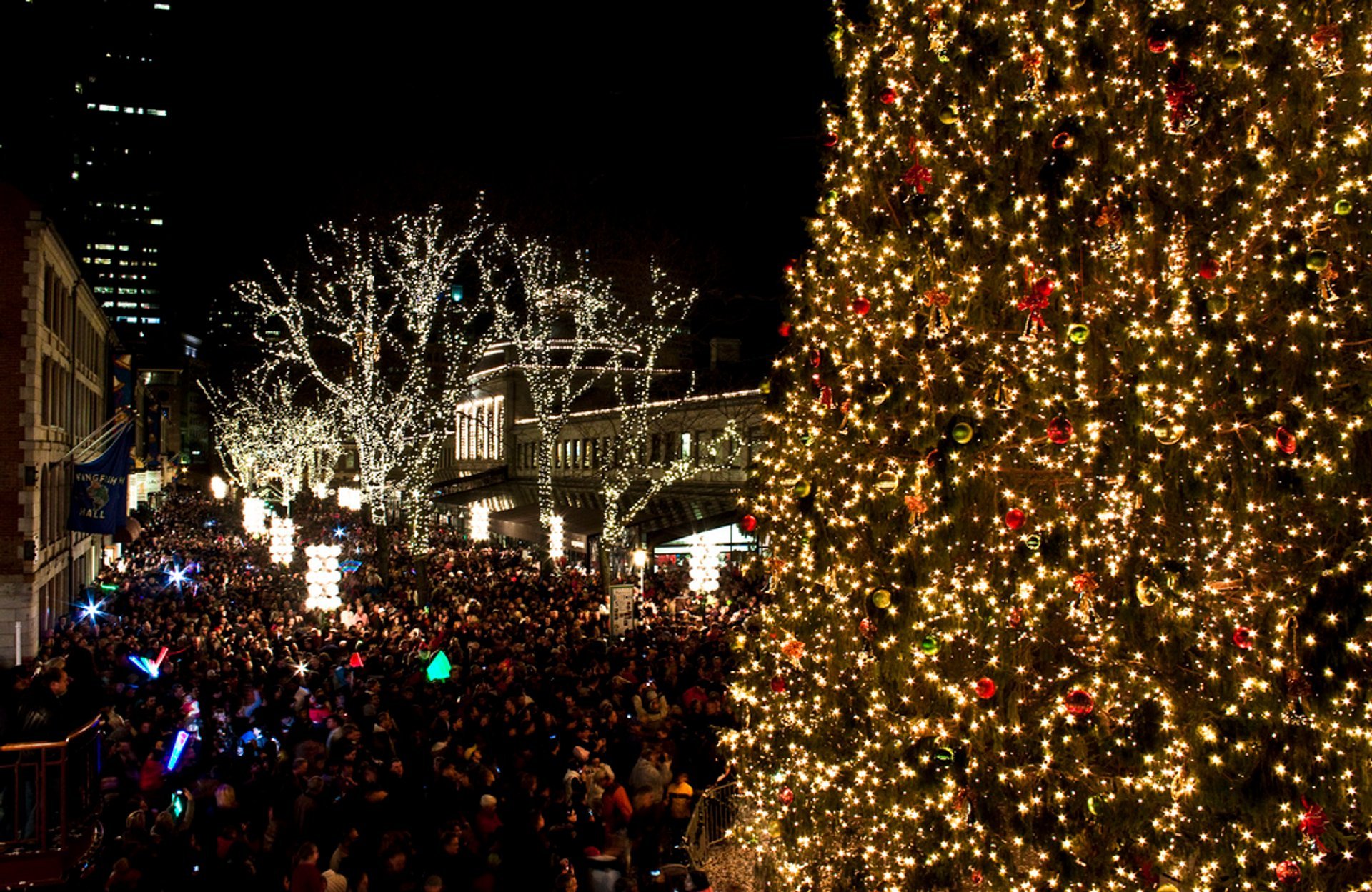 Iluminación del árbol de Navidad