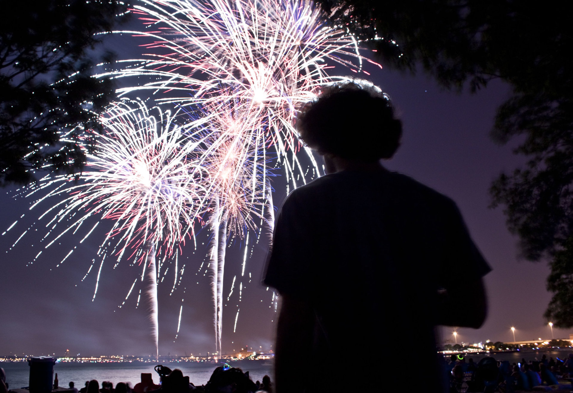 Fuochi d'artificio, parata ed eventi del 4 luglio a Milwaukee