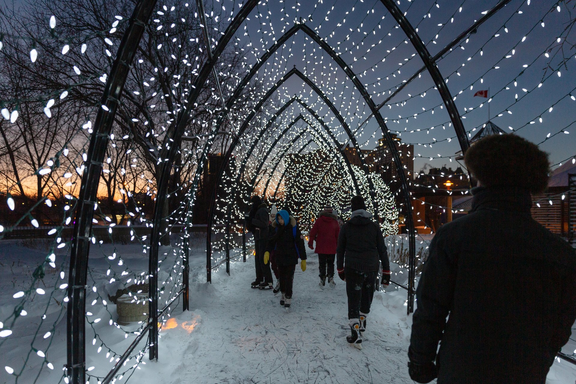 Christmas Lights 20242025 in Winnipeg Rove.me