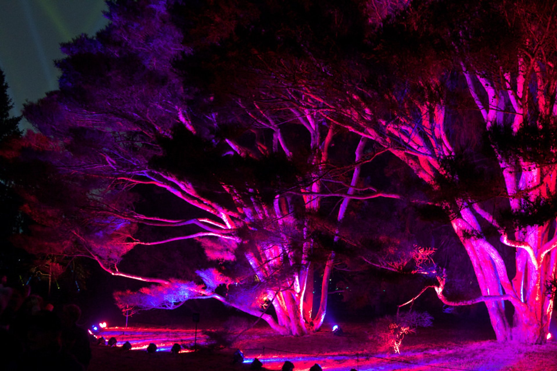 The Morton Arboretum Illumination 2023 in Chicago Dates