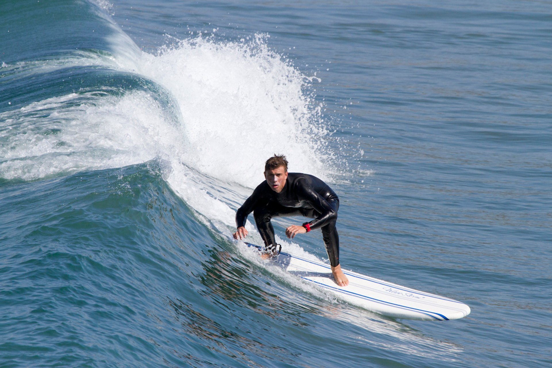 Surfen oder Wellenreiten