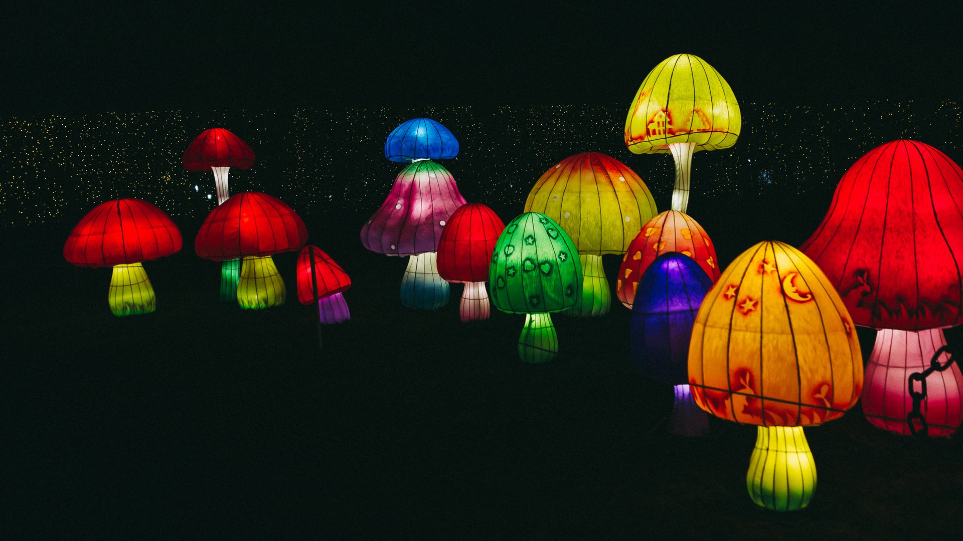 NYC Winter Lantern Festival 2019 in New York - Dates