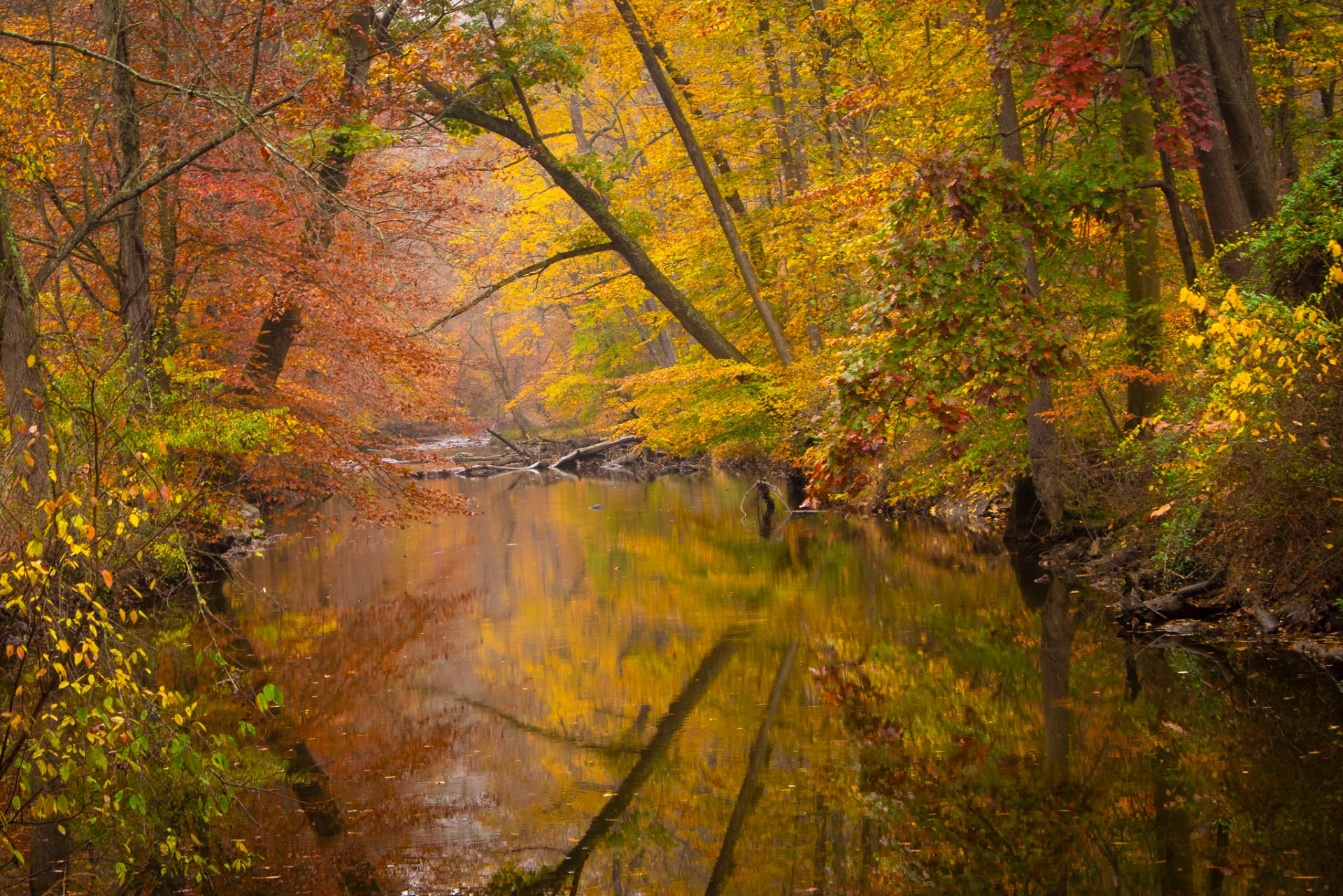 Couleurs d'automne à Philadelphie