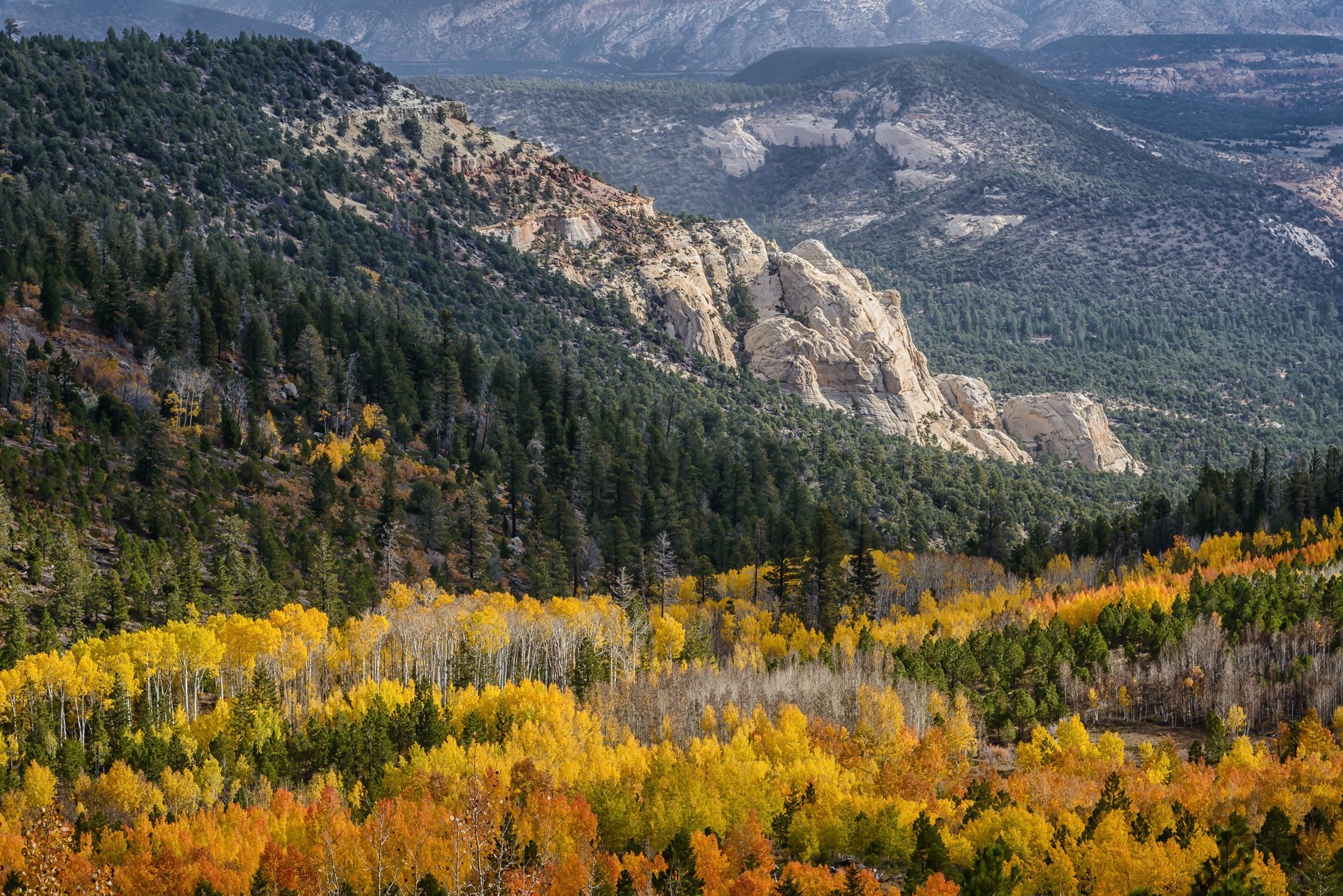 Utah Herbstlaub