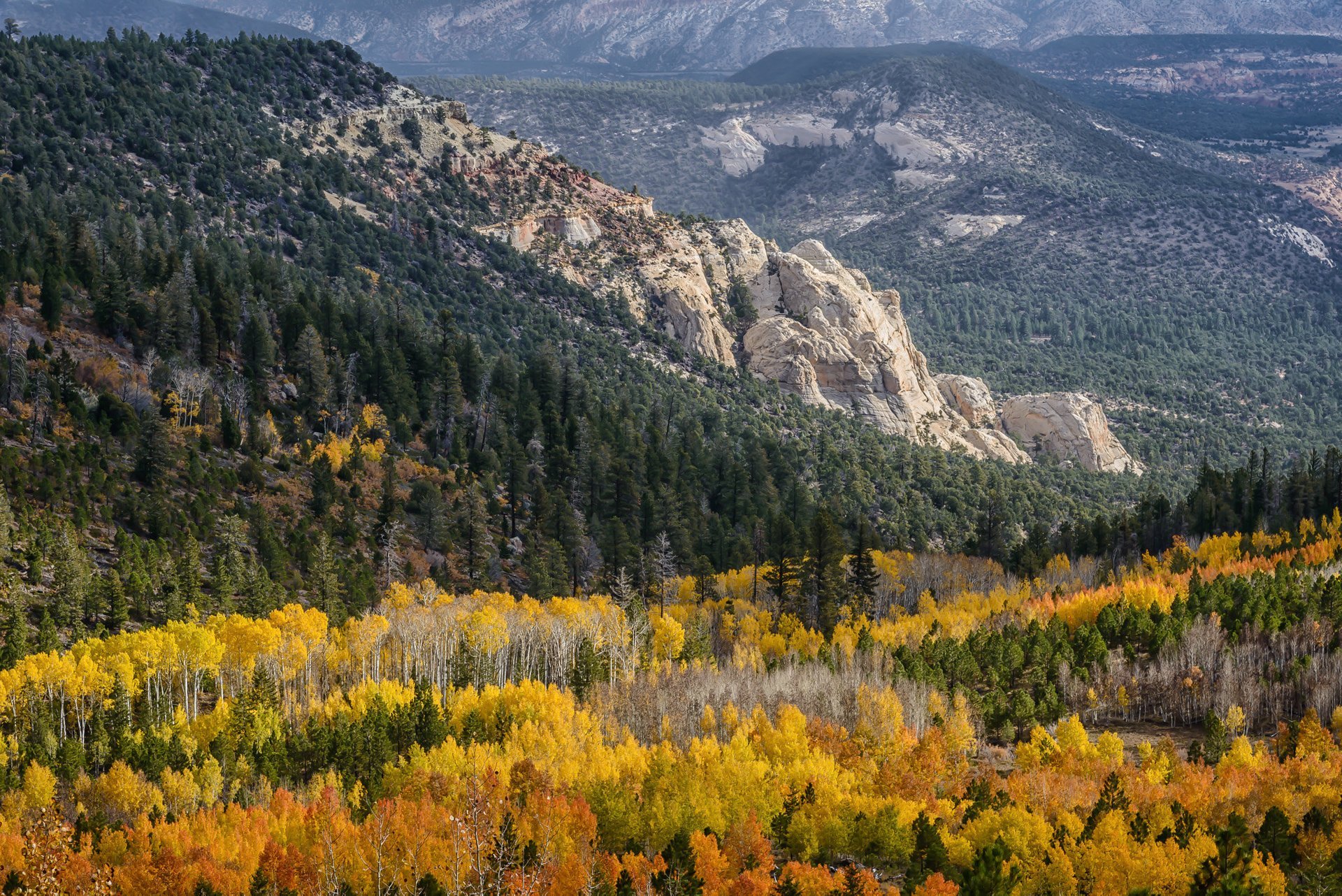 Colores de otoño de Utah