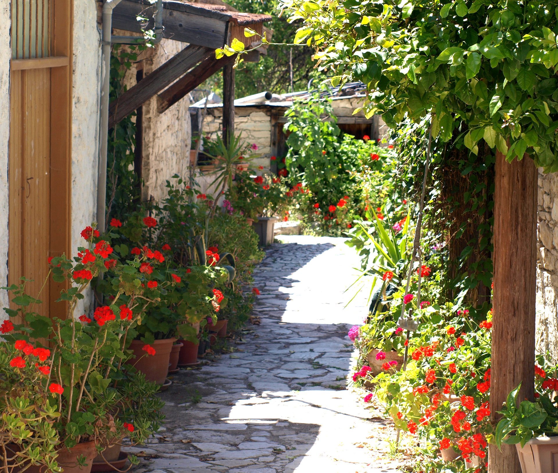 Antestíria ou Festivais de Flores