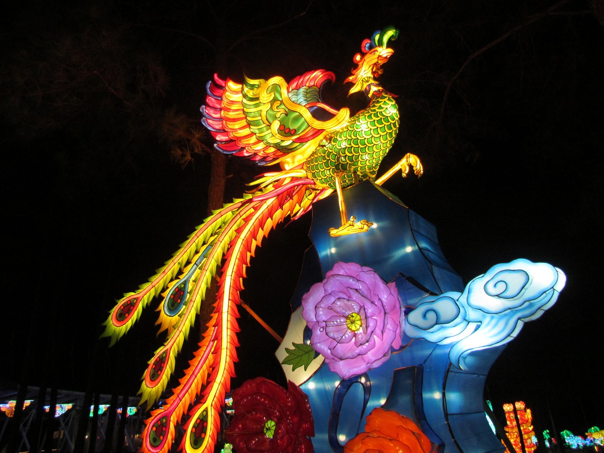 Nc chinese store lantern festival