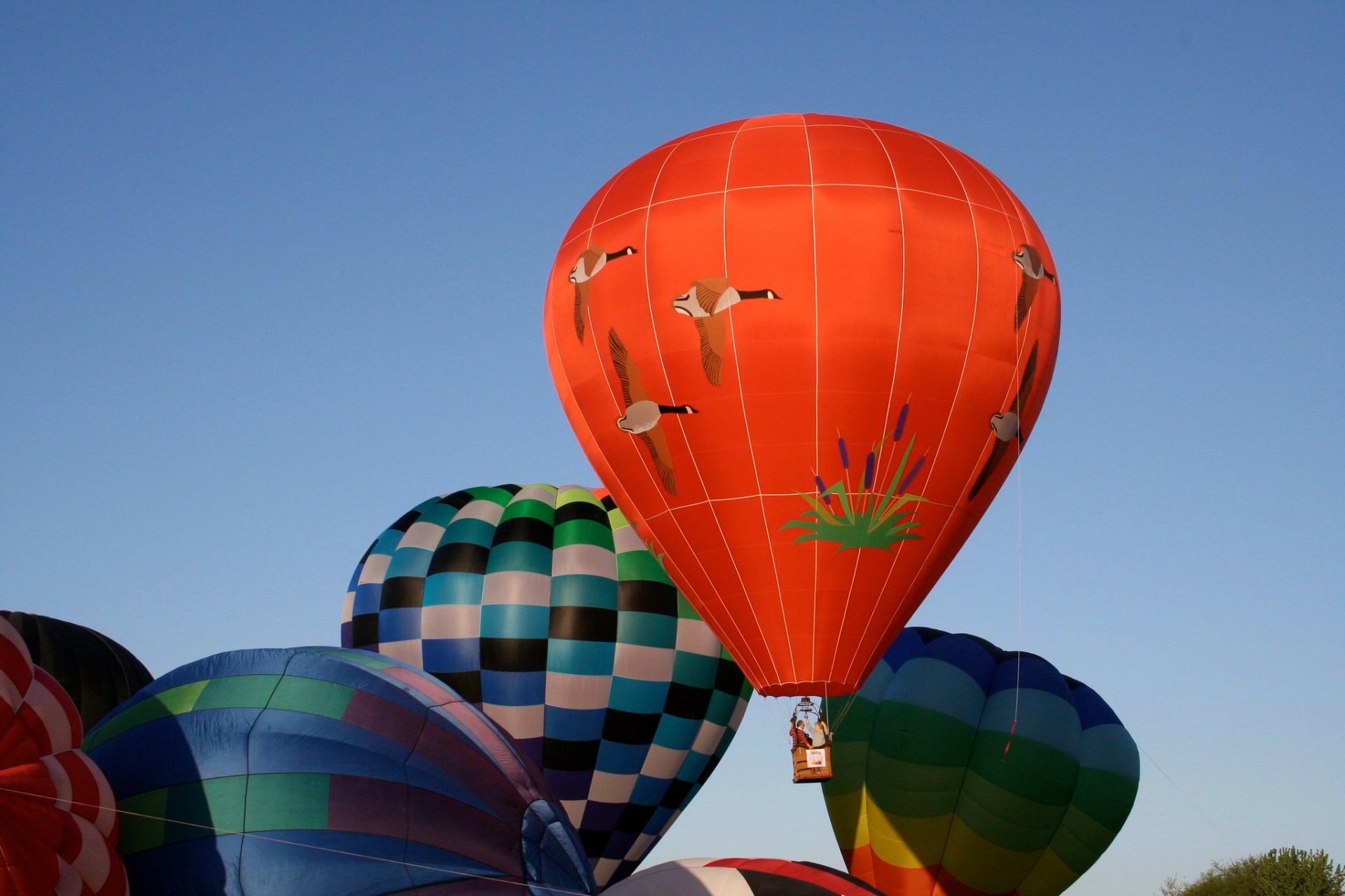 Walla Walla Balloon Stampede 2025