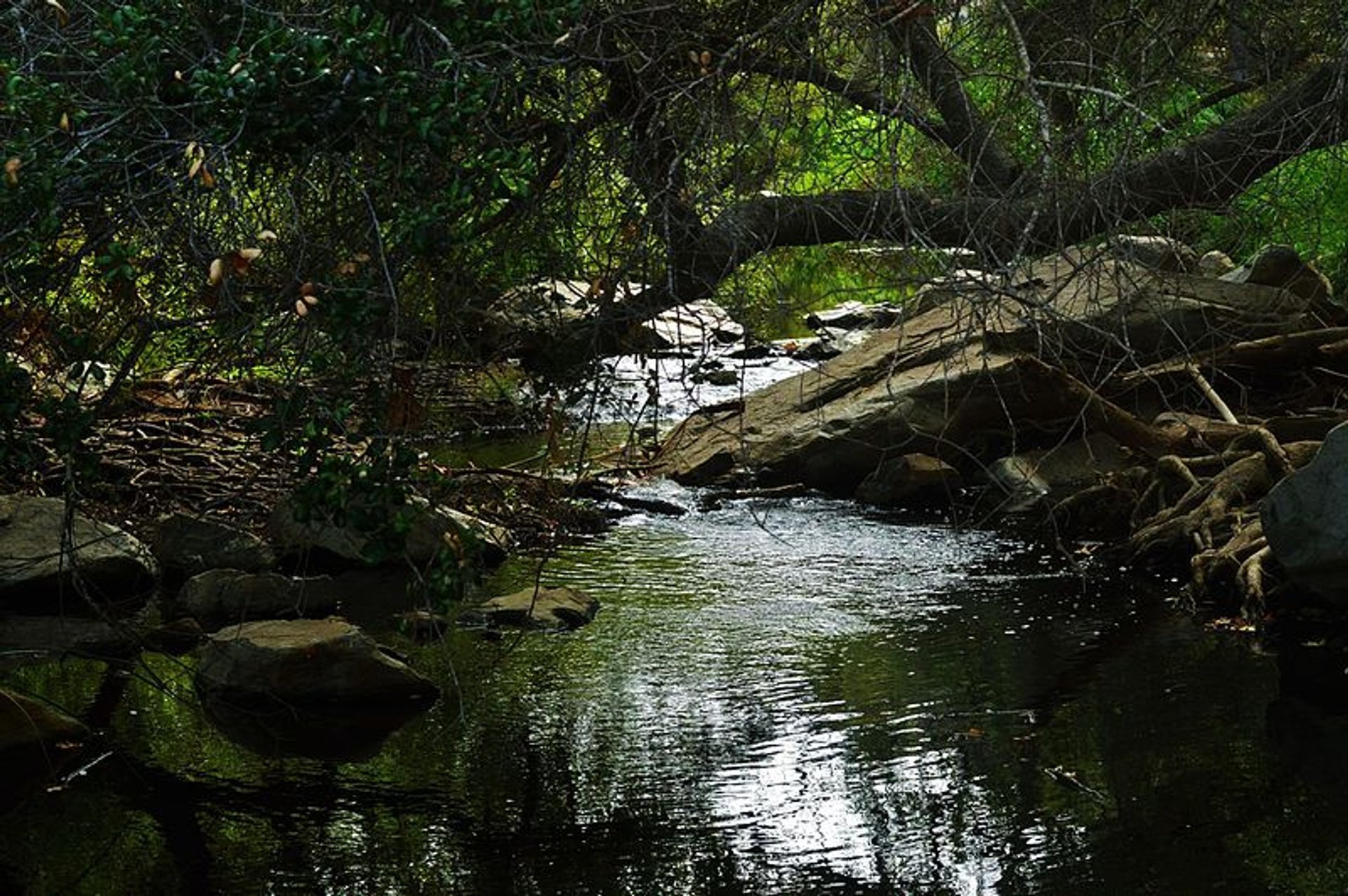 Elfin Forest Recreational Reserve