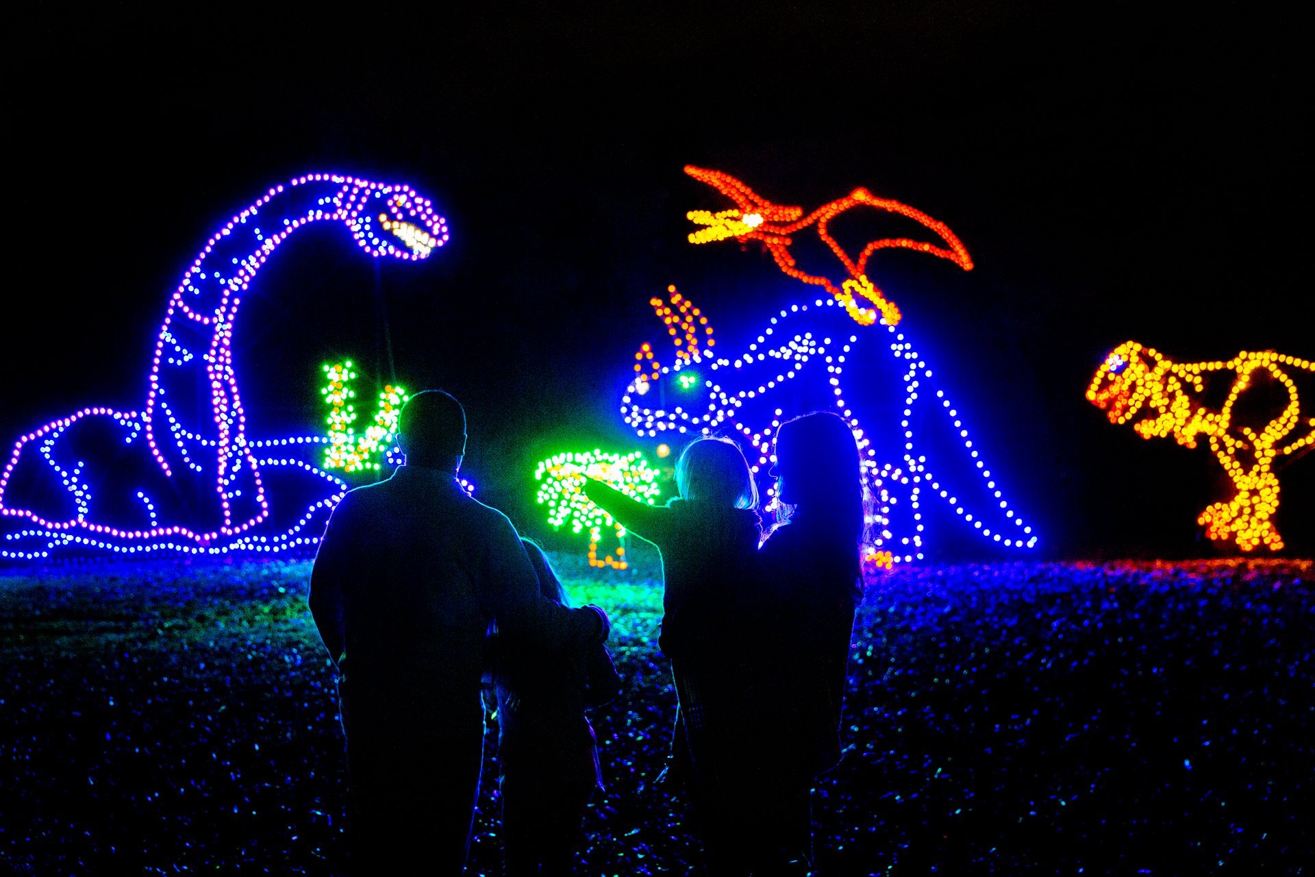 Oglebay Winter Festival of Lights 20232024 in West Virginia Dates