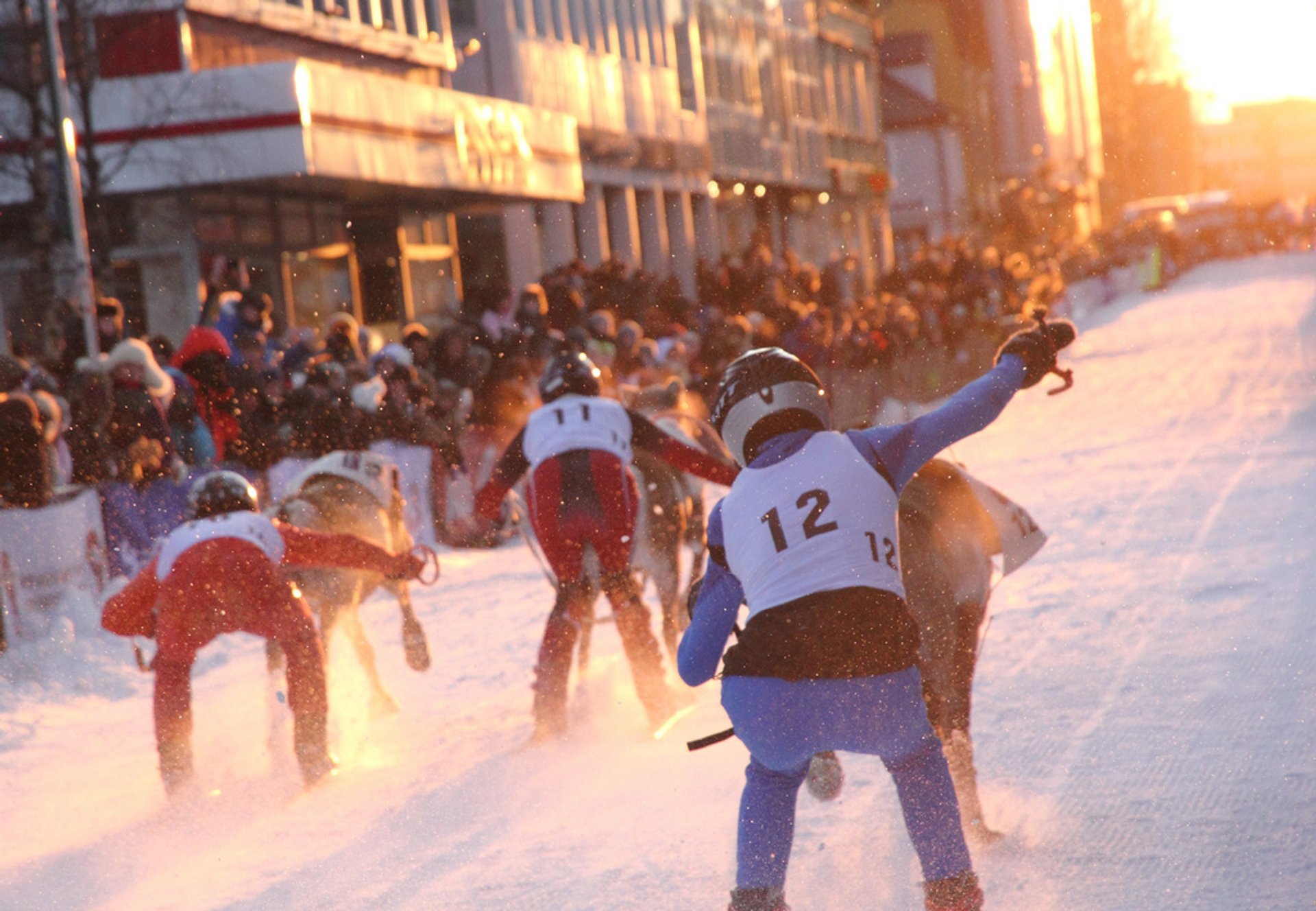 World Reindeer Racing Championships (Sami Week)