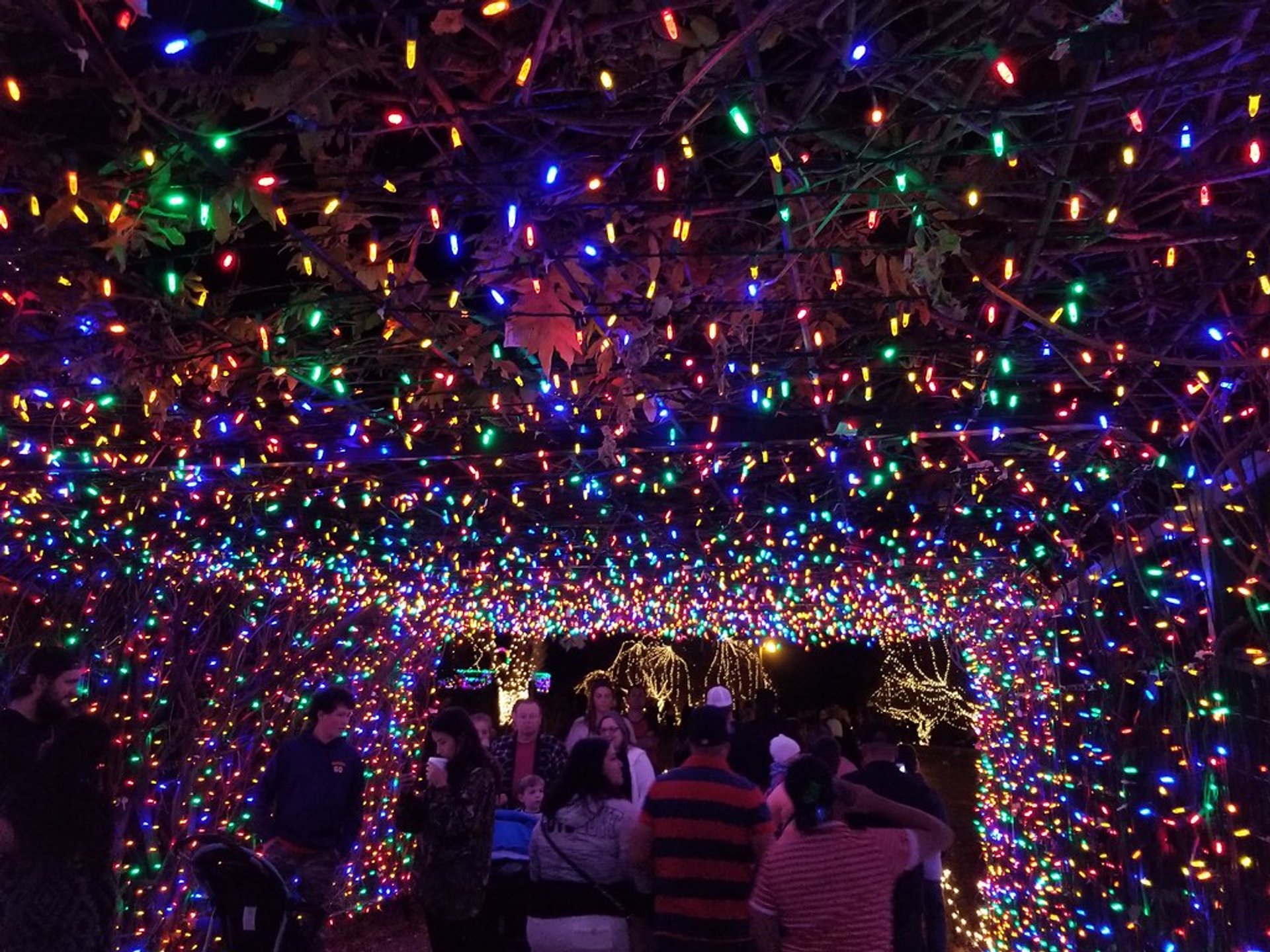 Christmas Lights Near Miami Ok 2021 Best Christmas Lights 2021