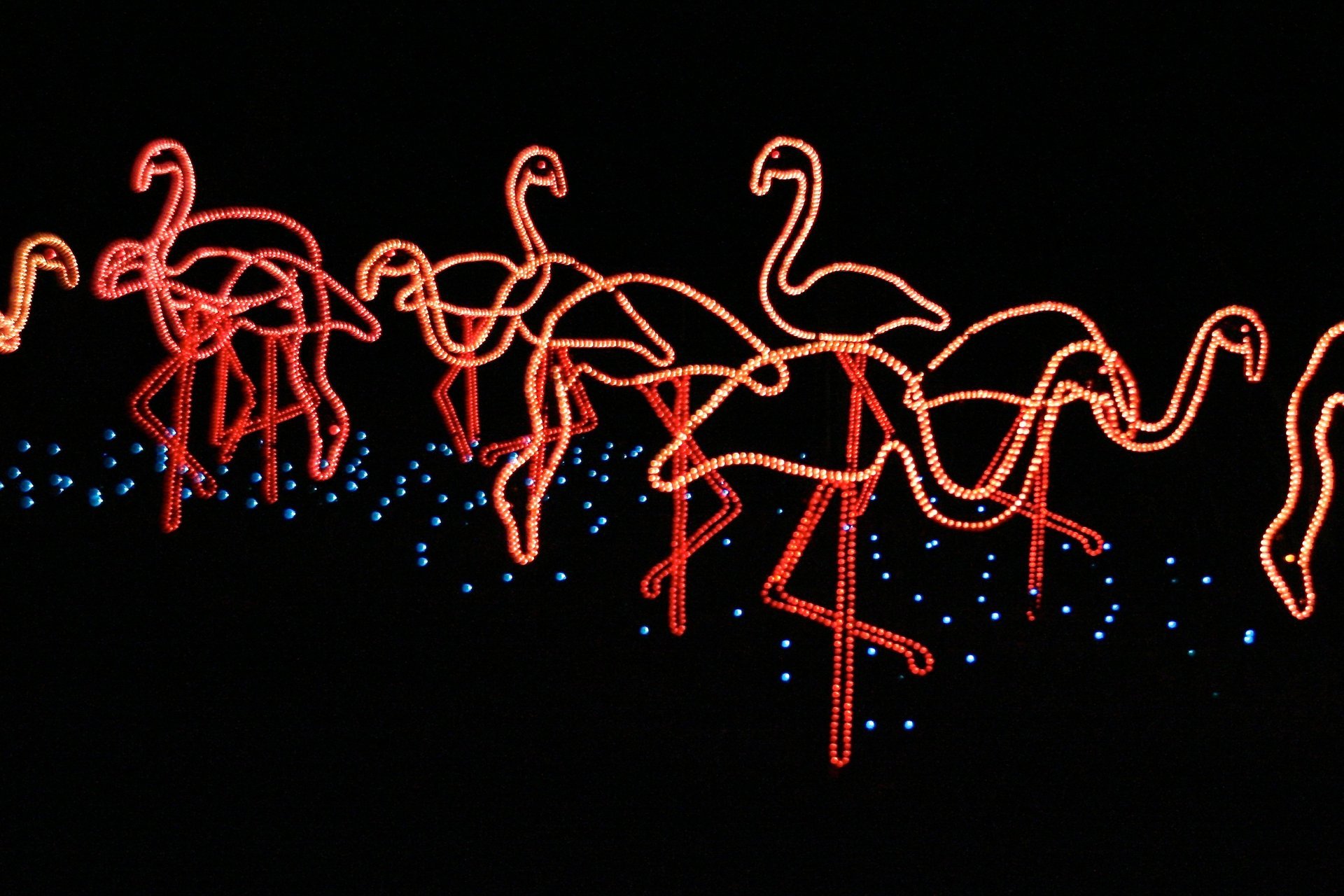James Island Holiday Festival of Lights