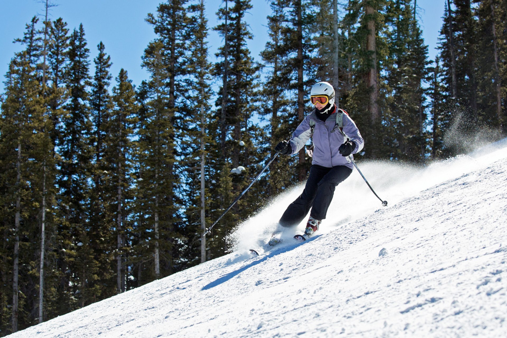 Esquí y snowboard