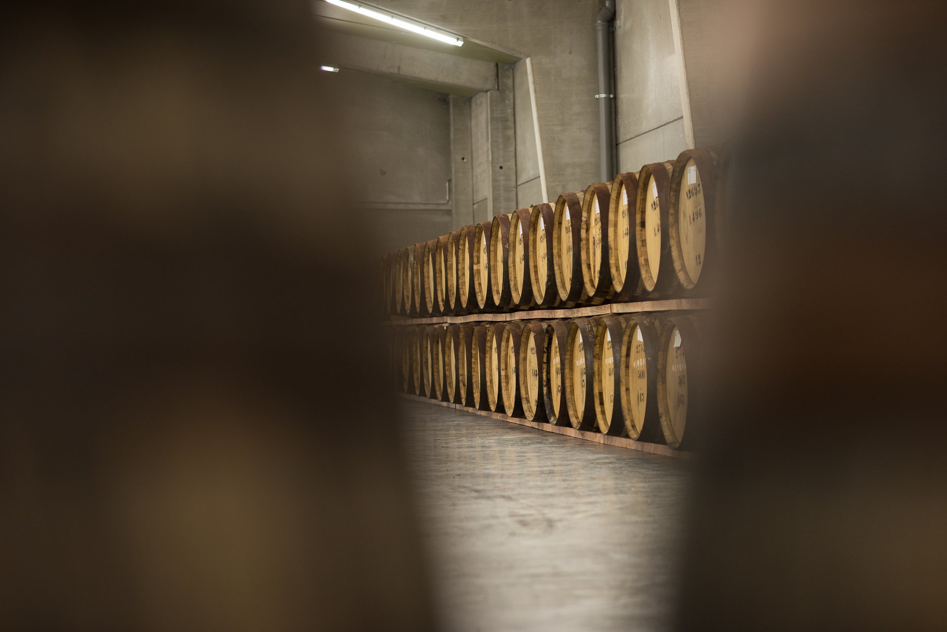 Jenever in Belgium - Best Season 2020