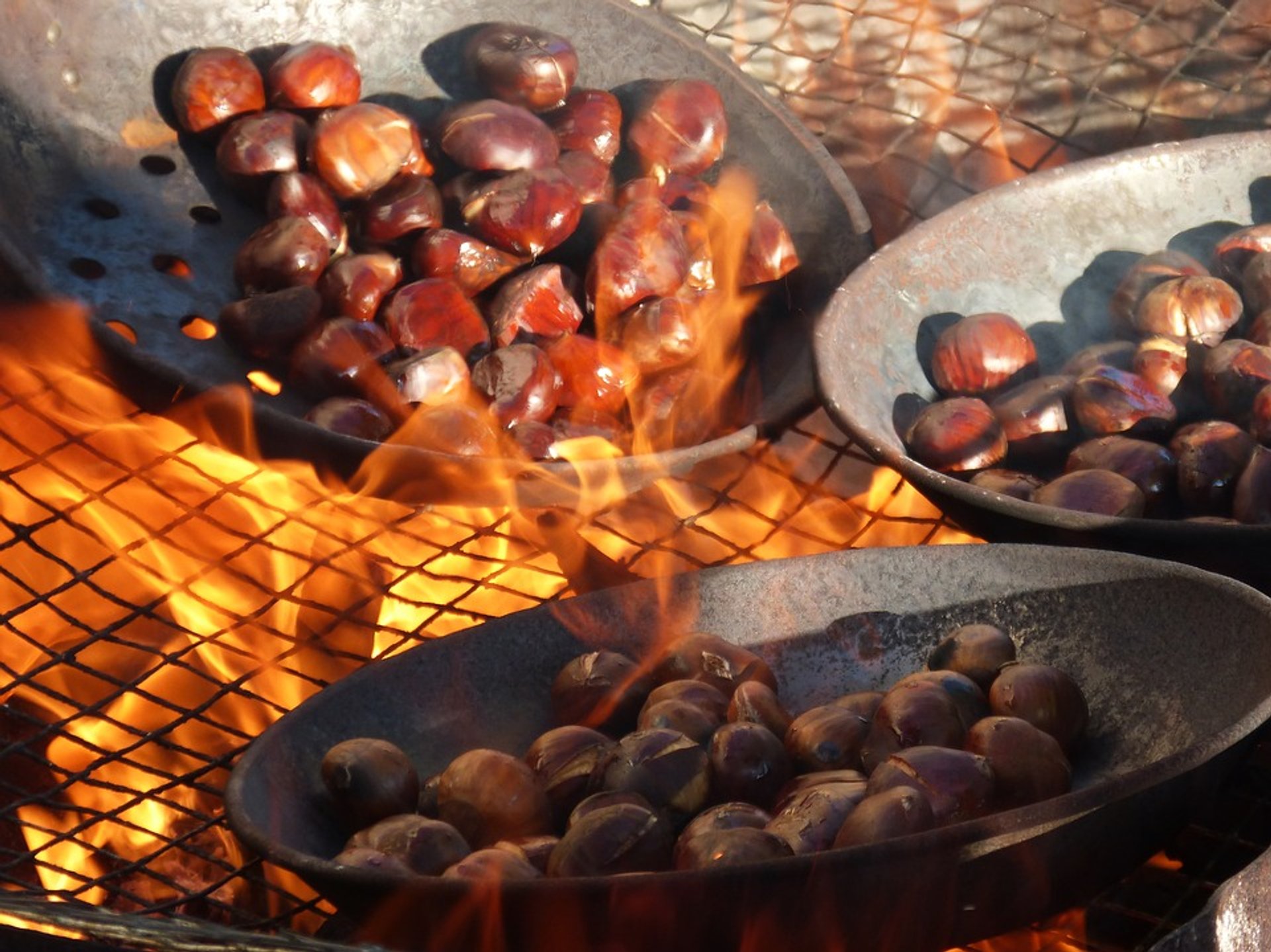 Elos Colheita de castanho e Festival