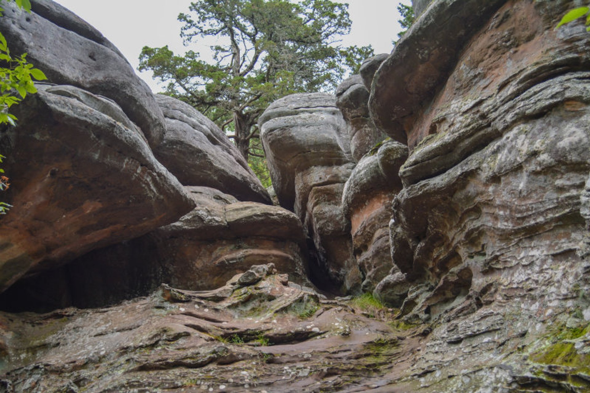 Shawnee National Forest