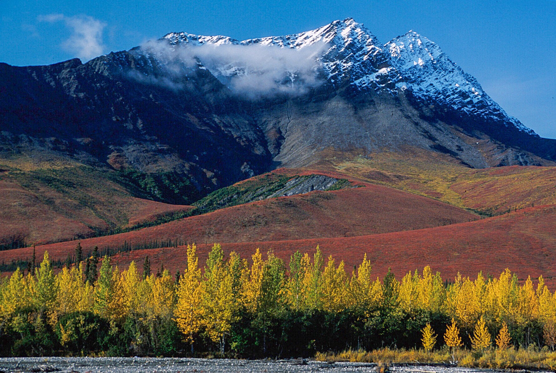 Alaska Fall Colors 
