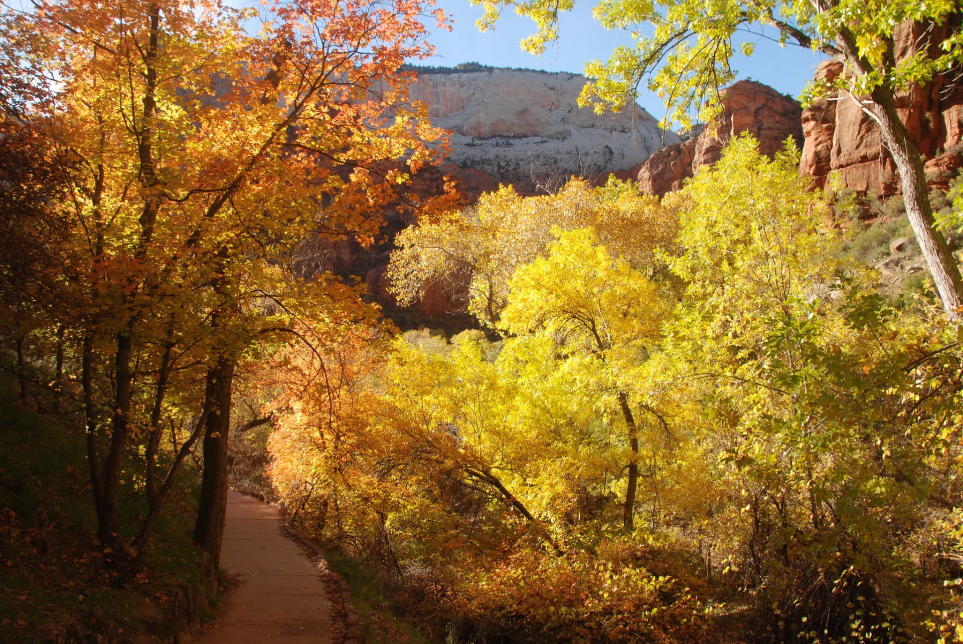 Les couleurs d'automne du parc national de Zion