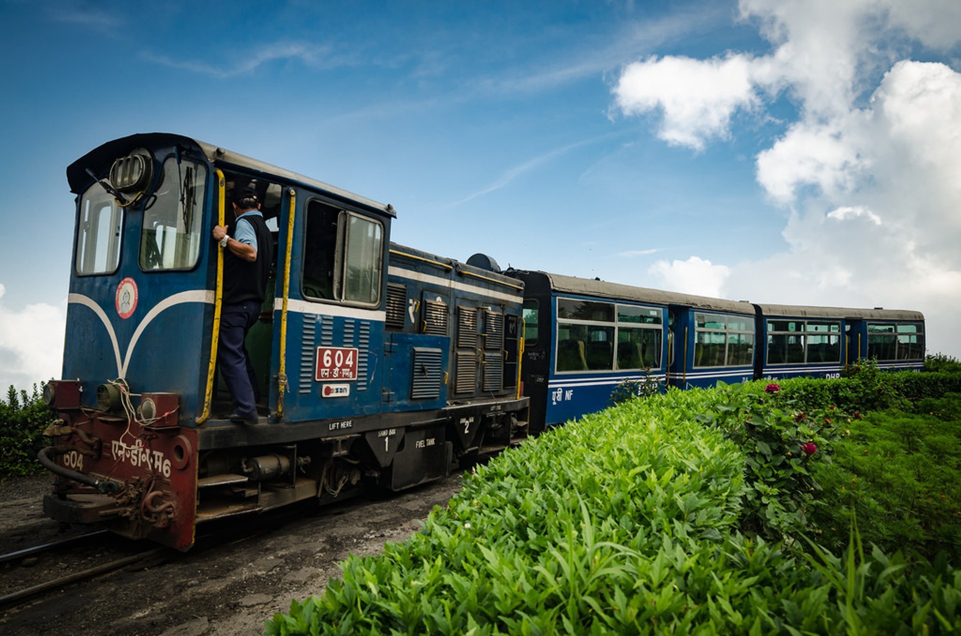 Darjeeling himalayan sale train