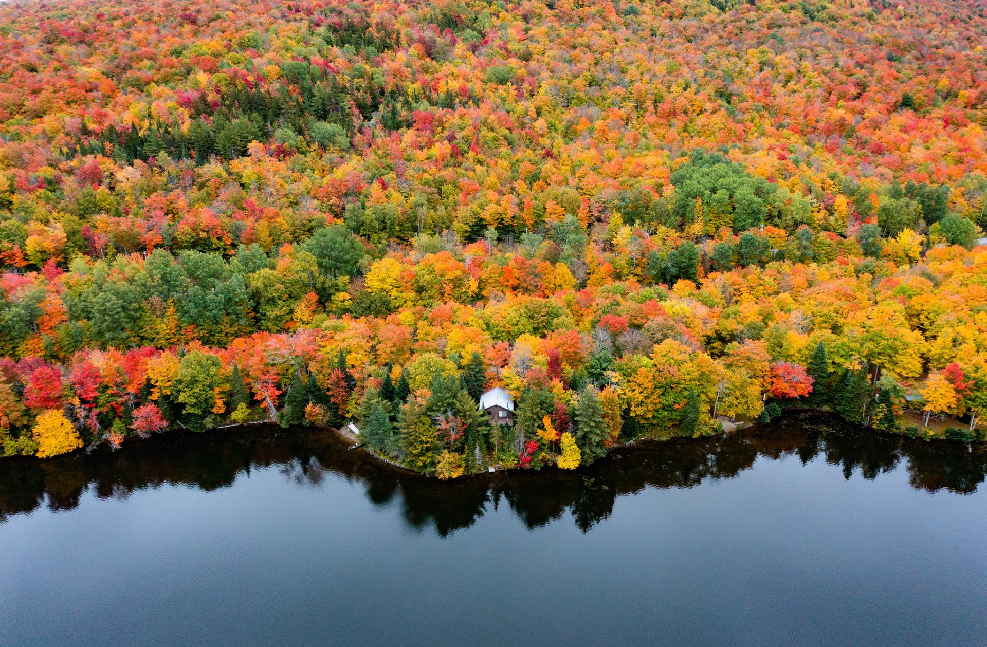 Vermont Herbstlaub