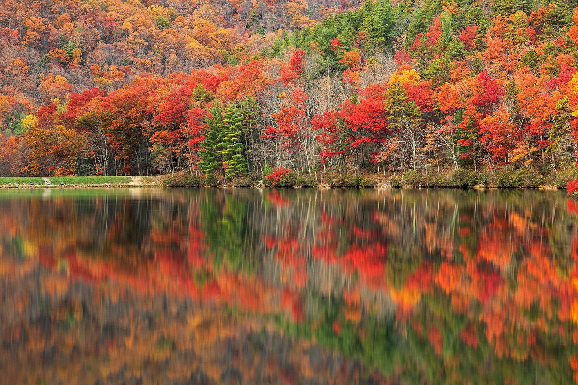 Follaje de otoño de Virginia