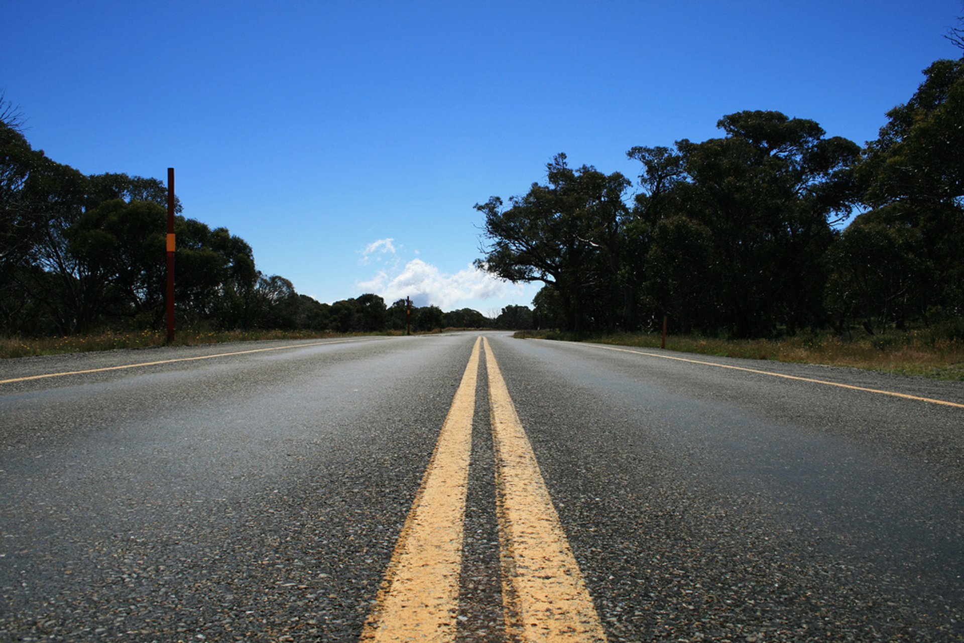 Great Alpine Road