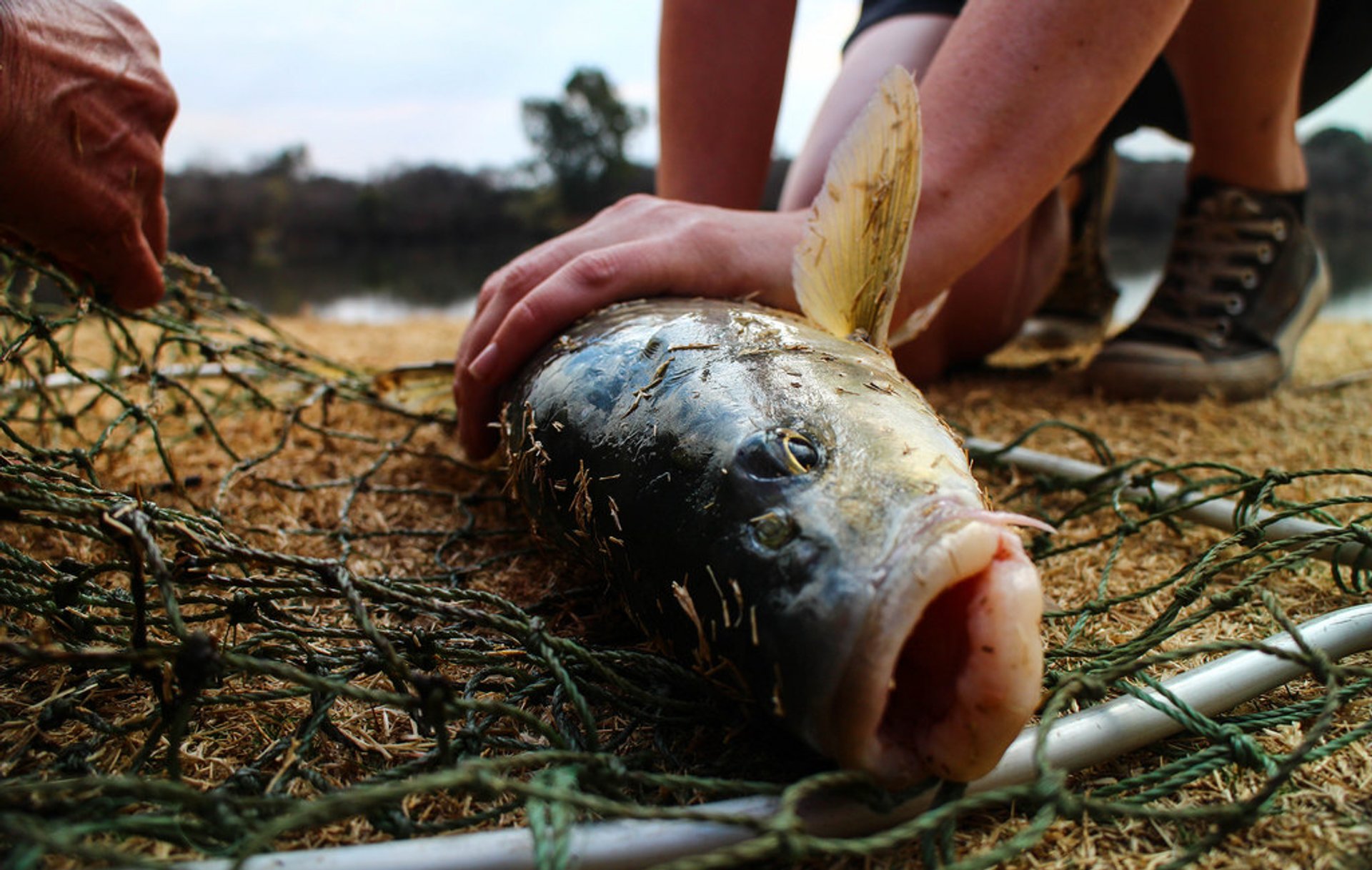 Fishing Season