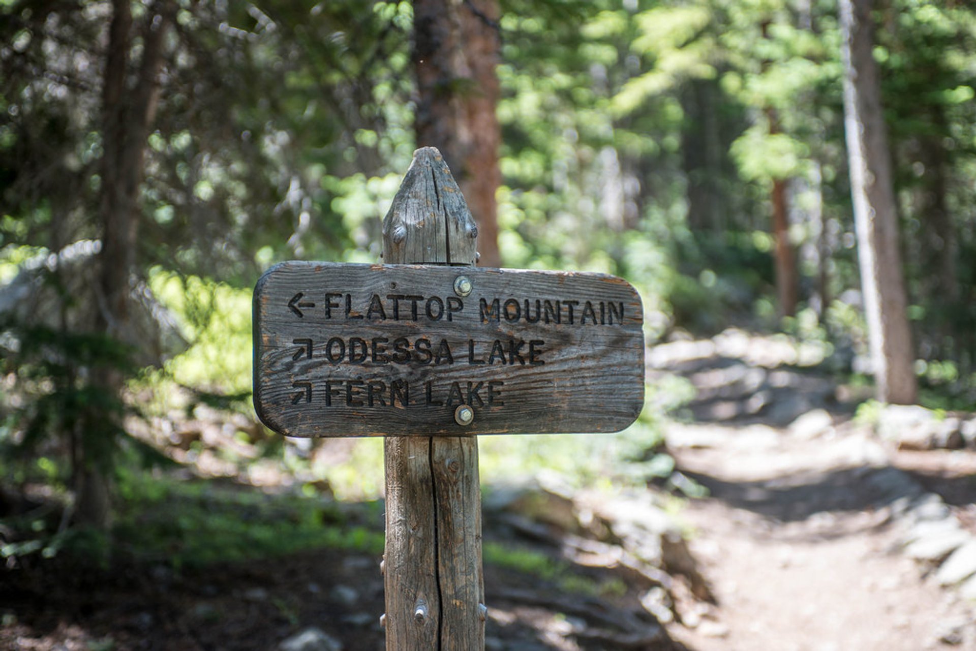 Senderismo en el Rocky Mountain National Park