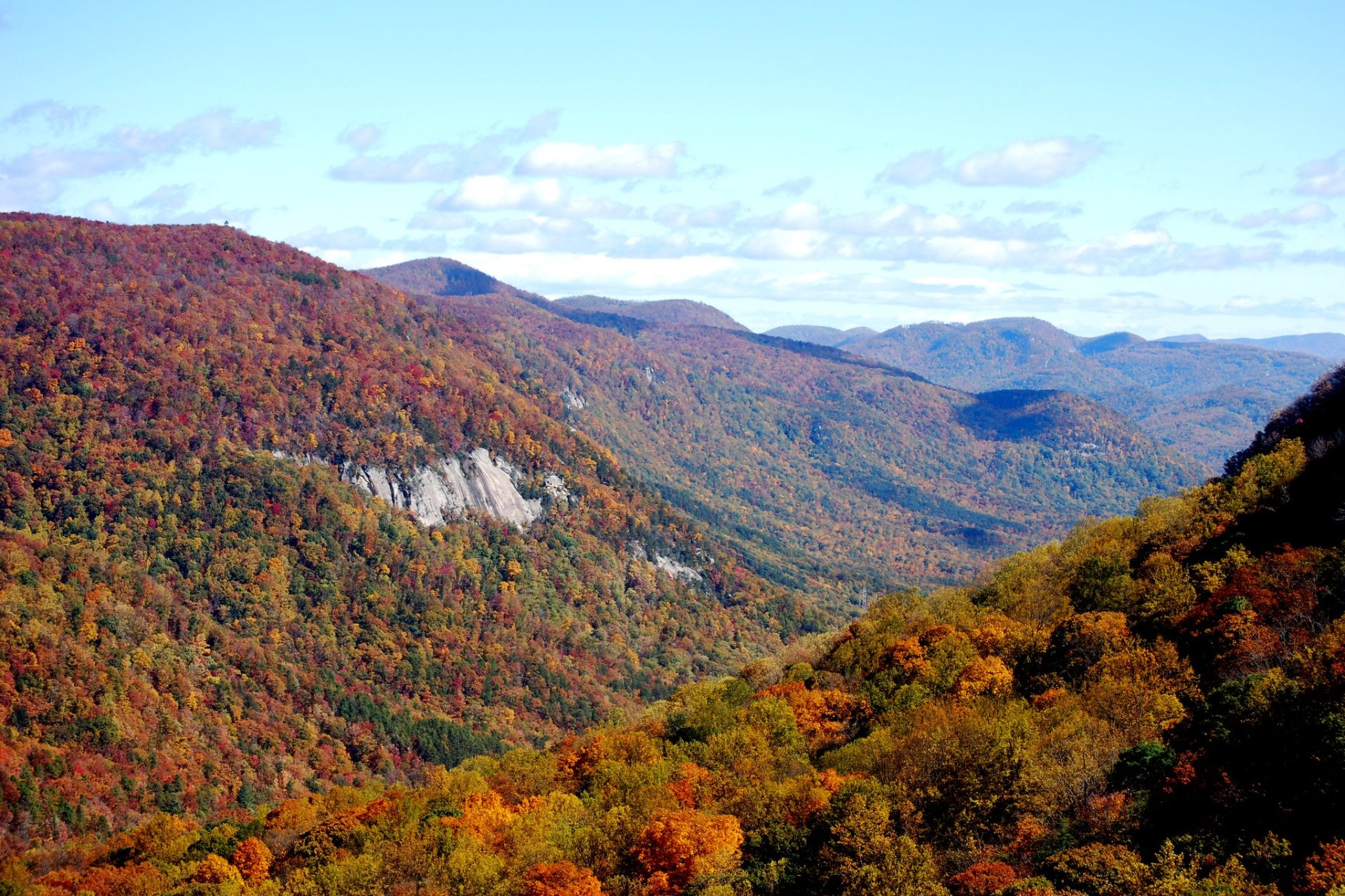 Colores de otoño de Carolina del Sur