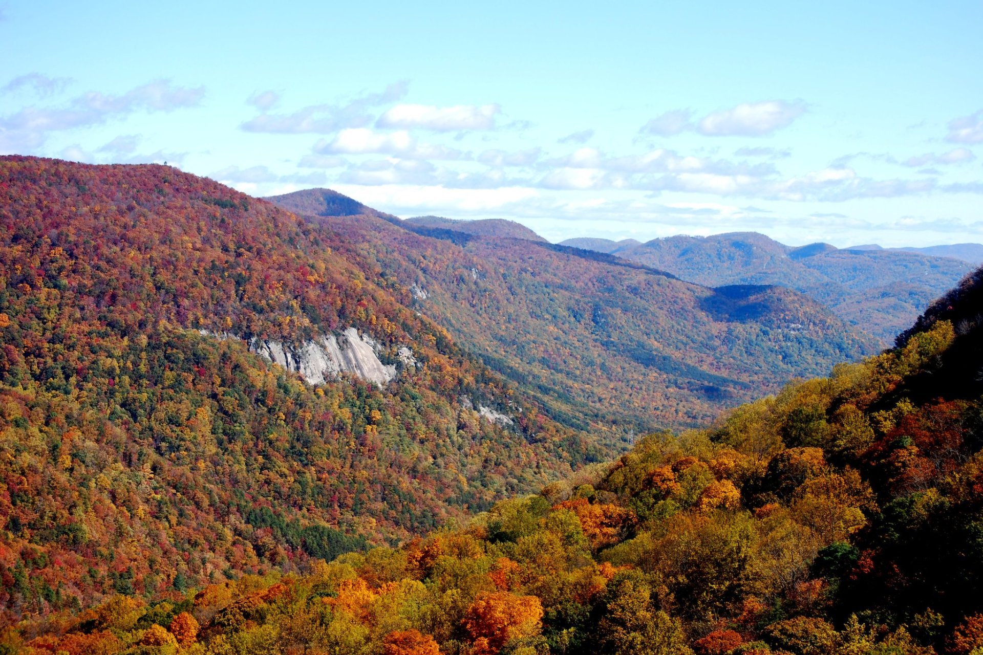 Herbstlaub in South Carolina