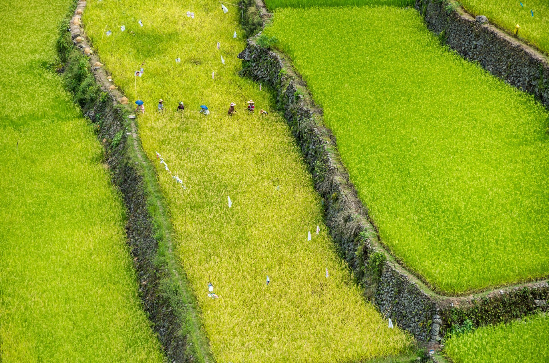 Terraços de arroz de Banaue e Batad