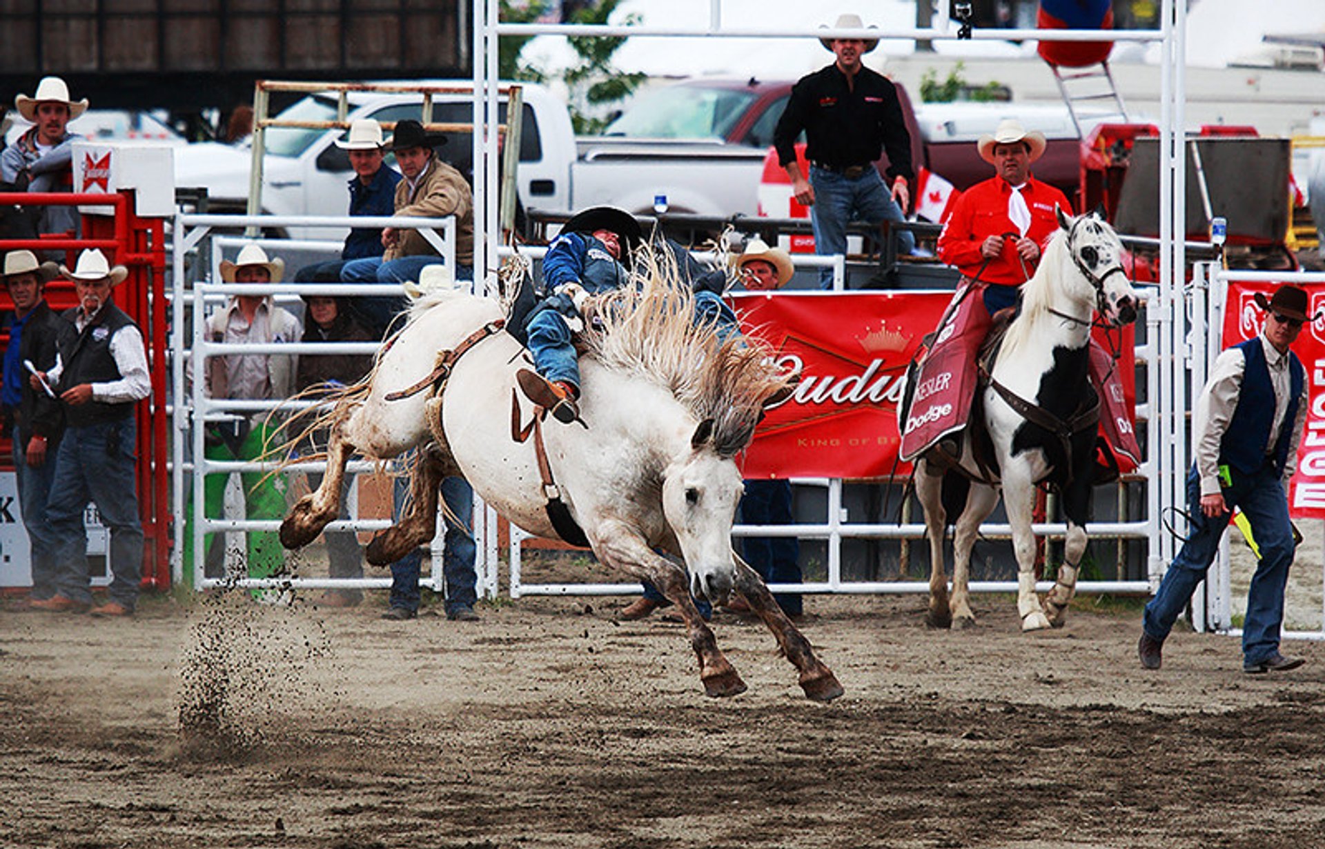 Cloverdale Rodeo and Country Fair in Vancouver 2019 - Best Time
