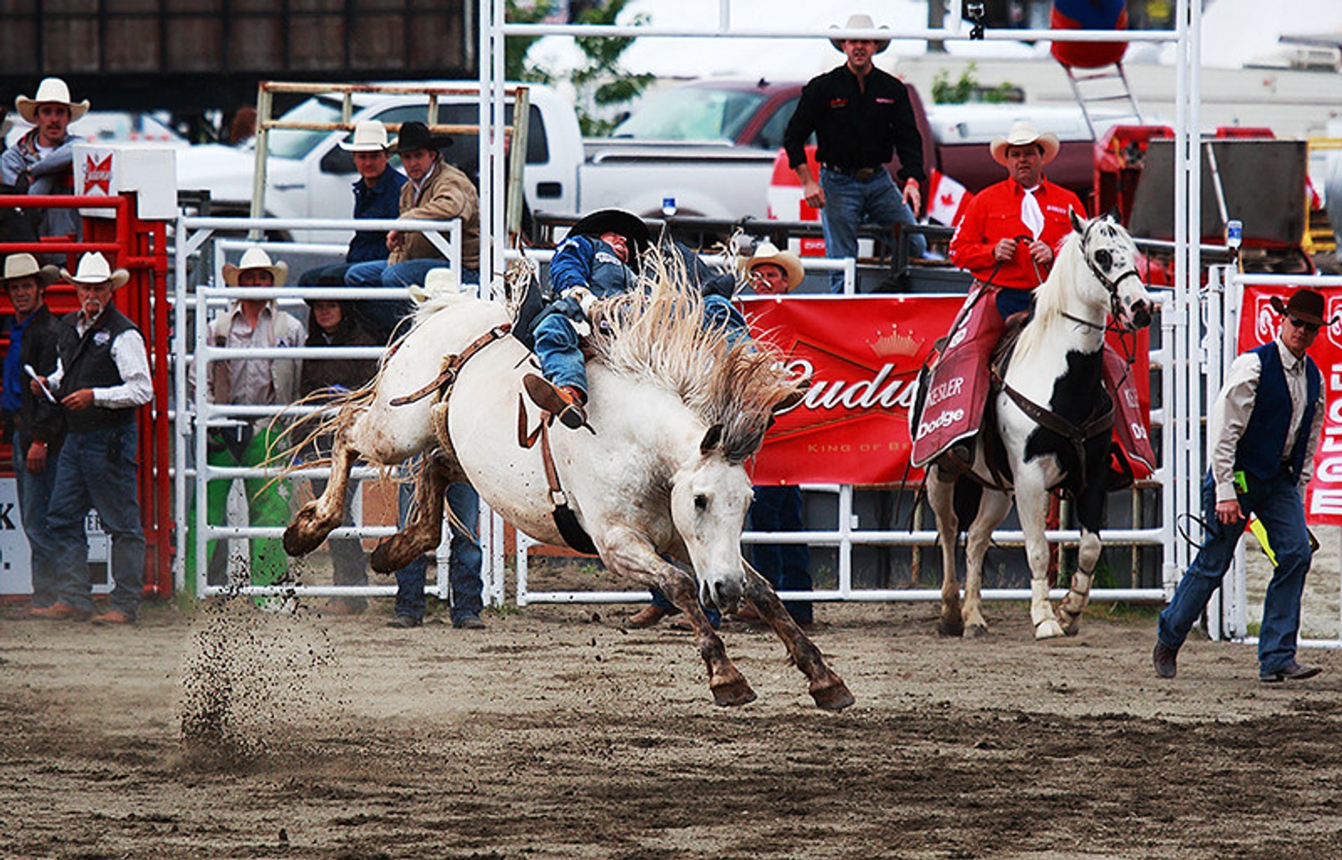 Rodeo di Cloverdale e Fiera Country