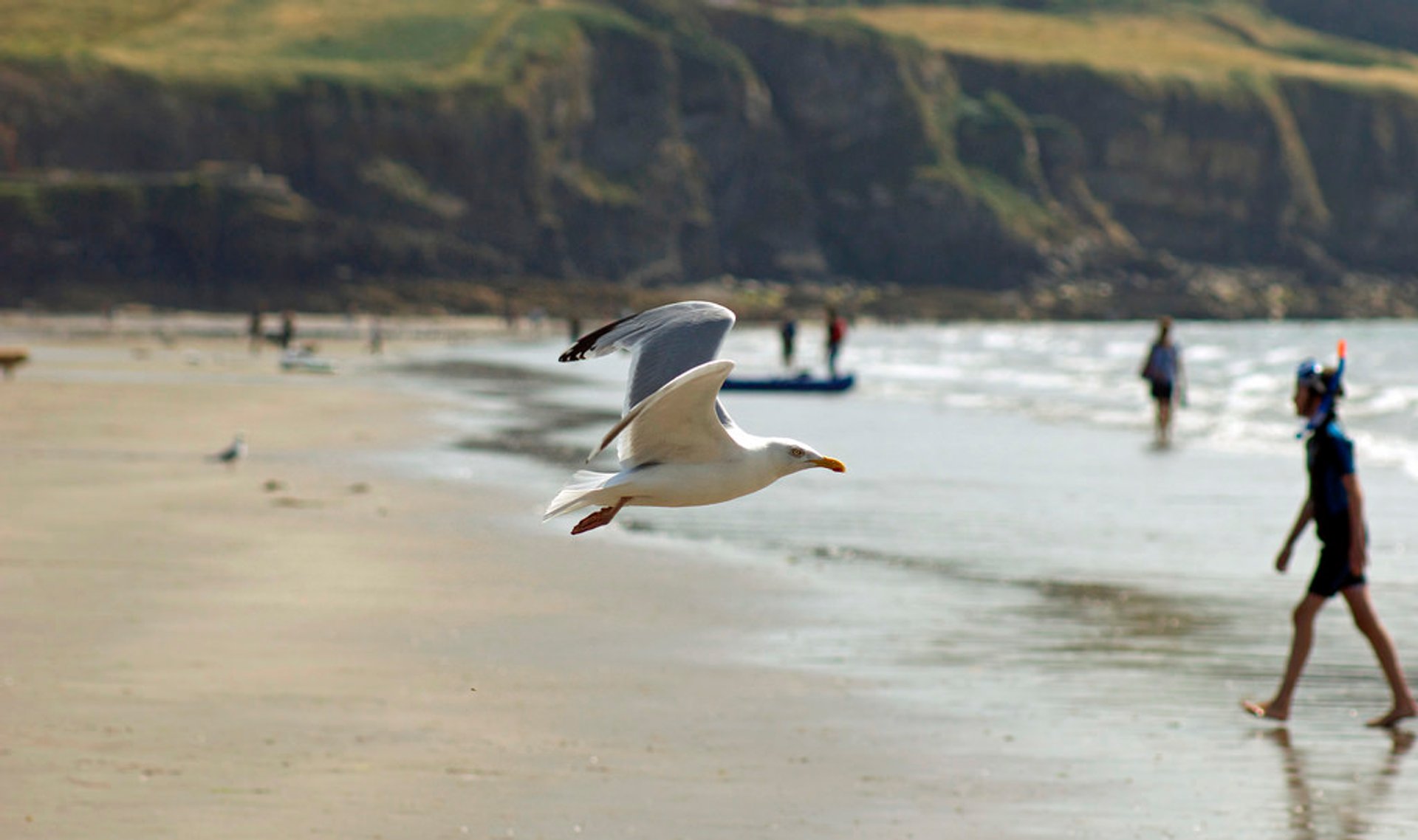 Surfing in Wales