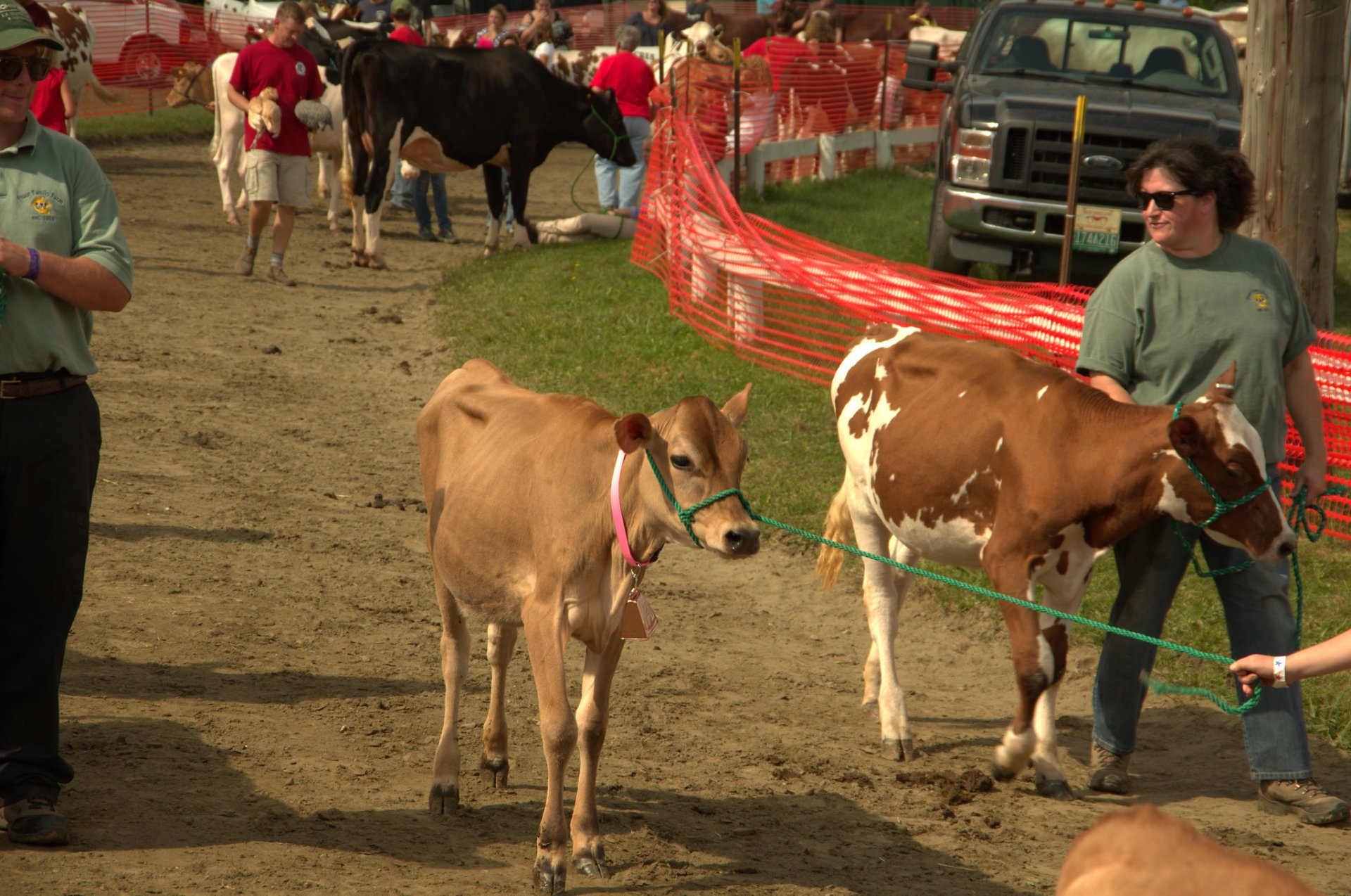 The Tunbridge World's Fair 2024 in Vermont Dates