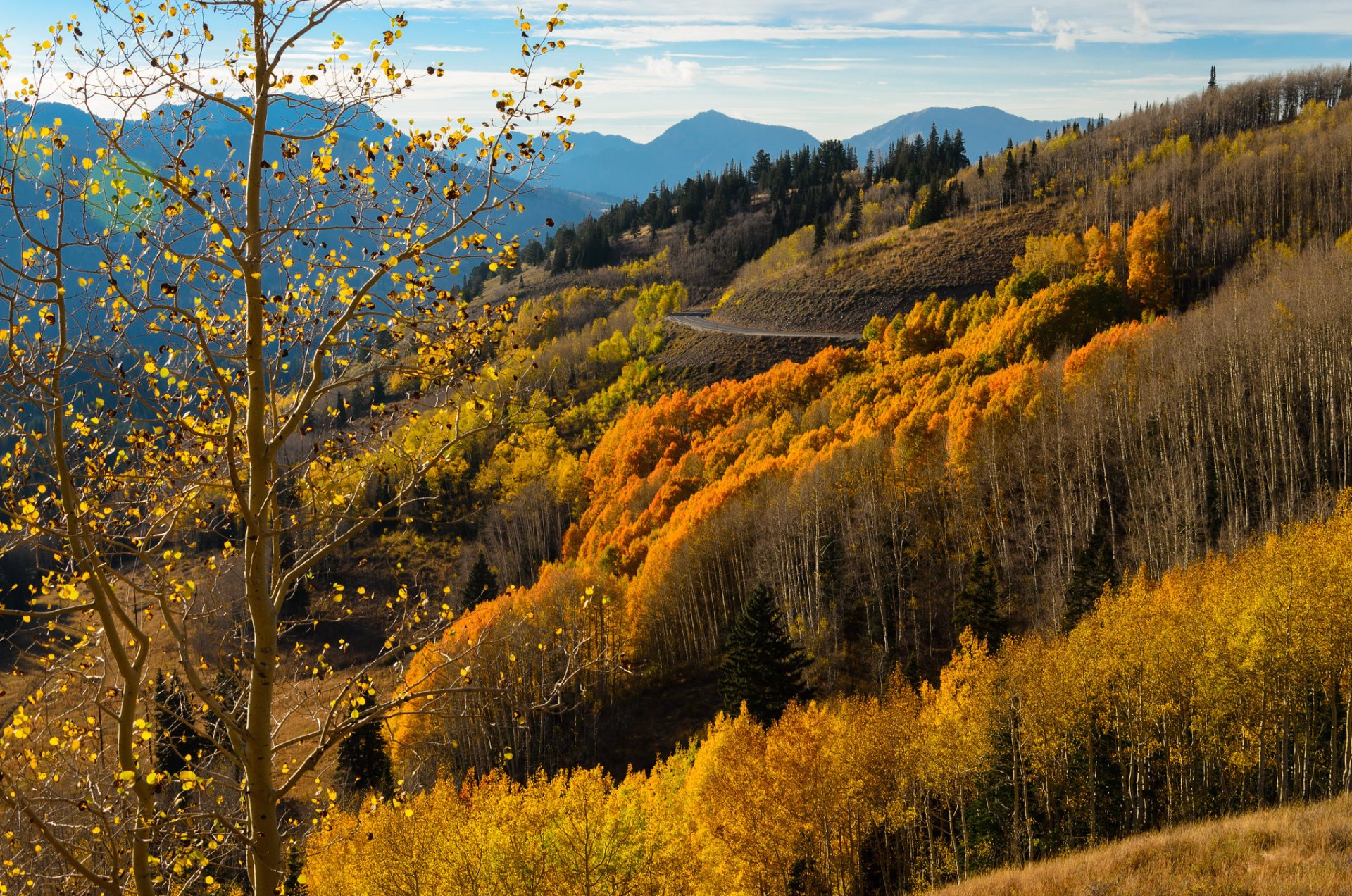 Herbstfarben