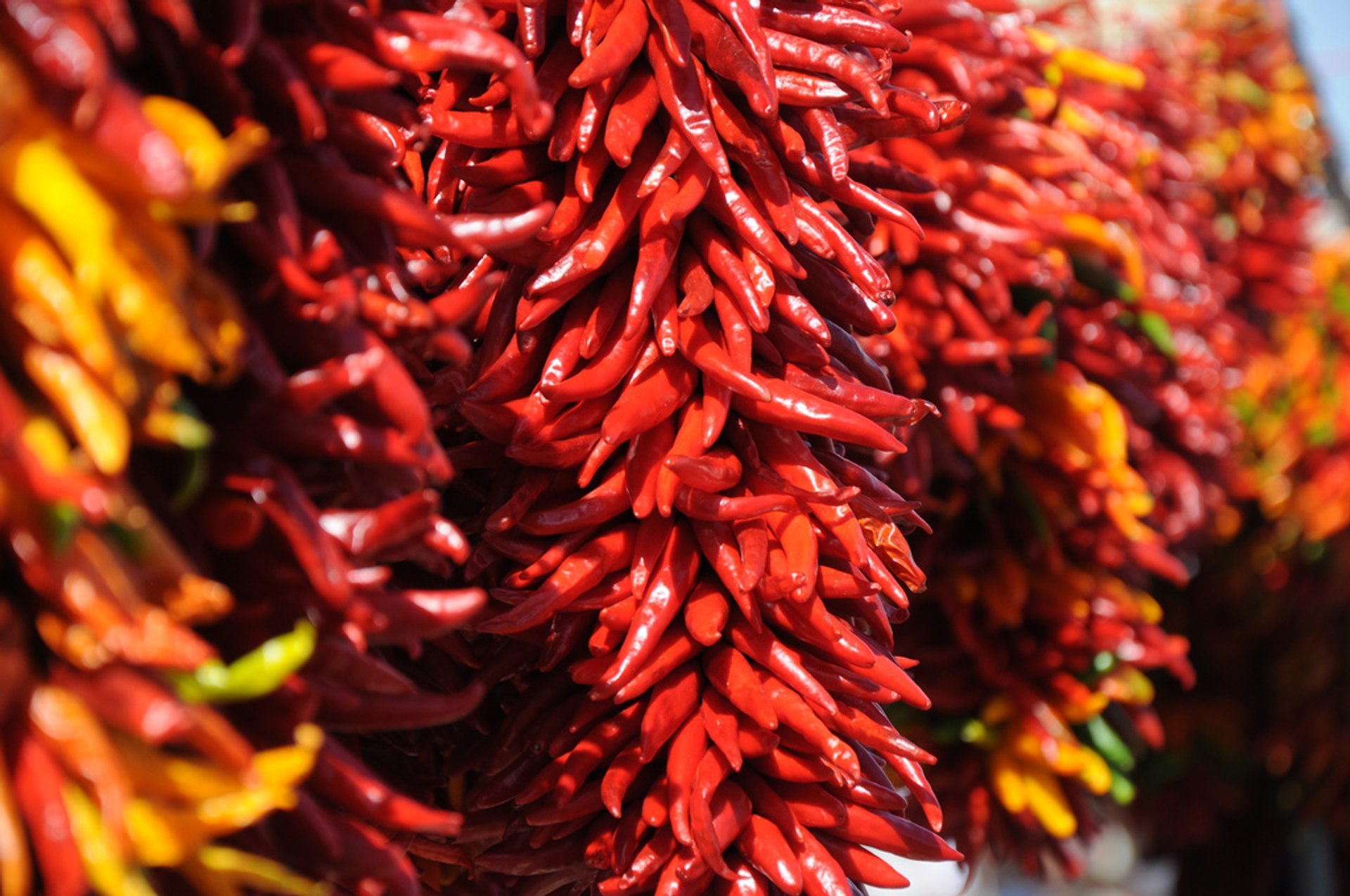 Festival del Chile y los Frijoles del Pueblo