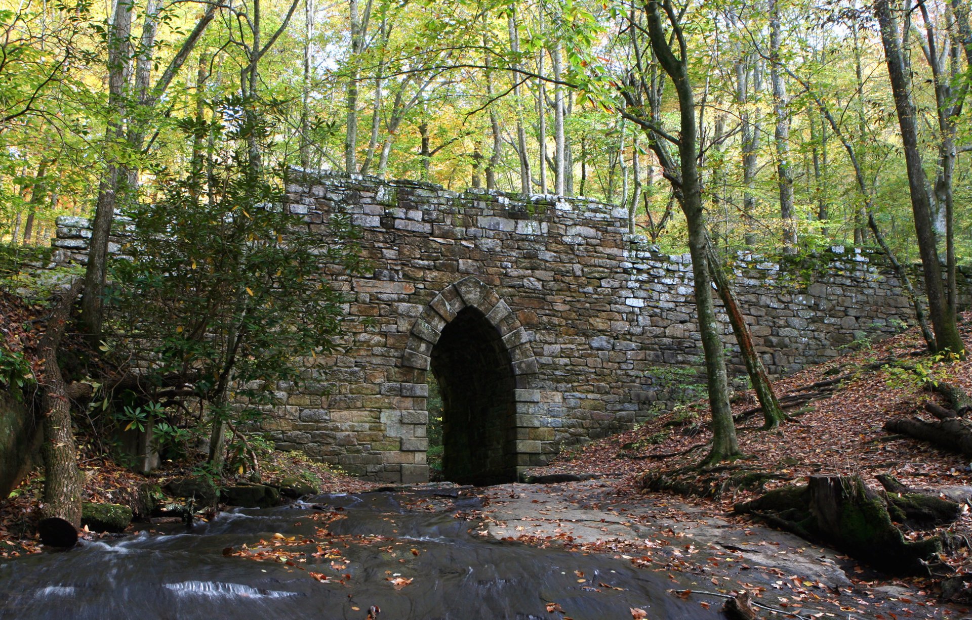 South Carolina Fall Foliage