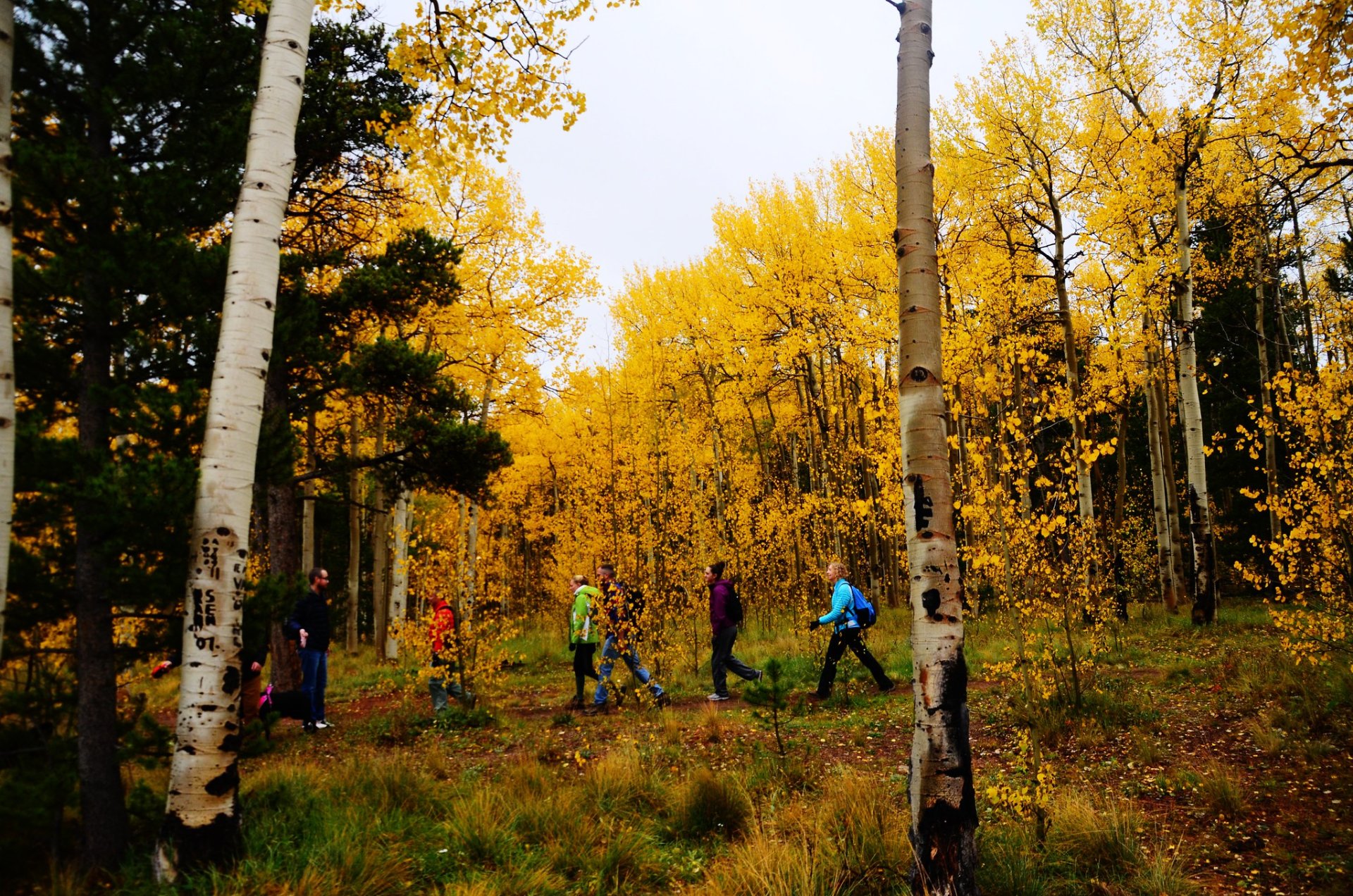 Kenosha Pass Herbstlaub