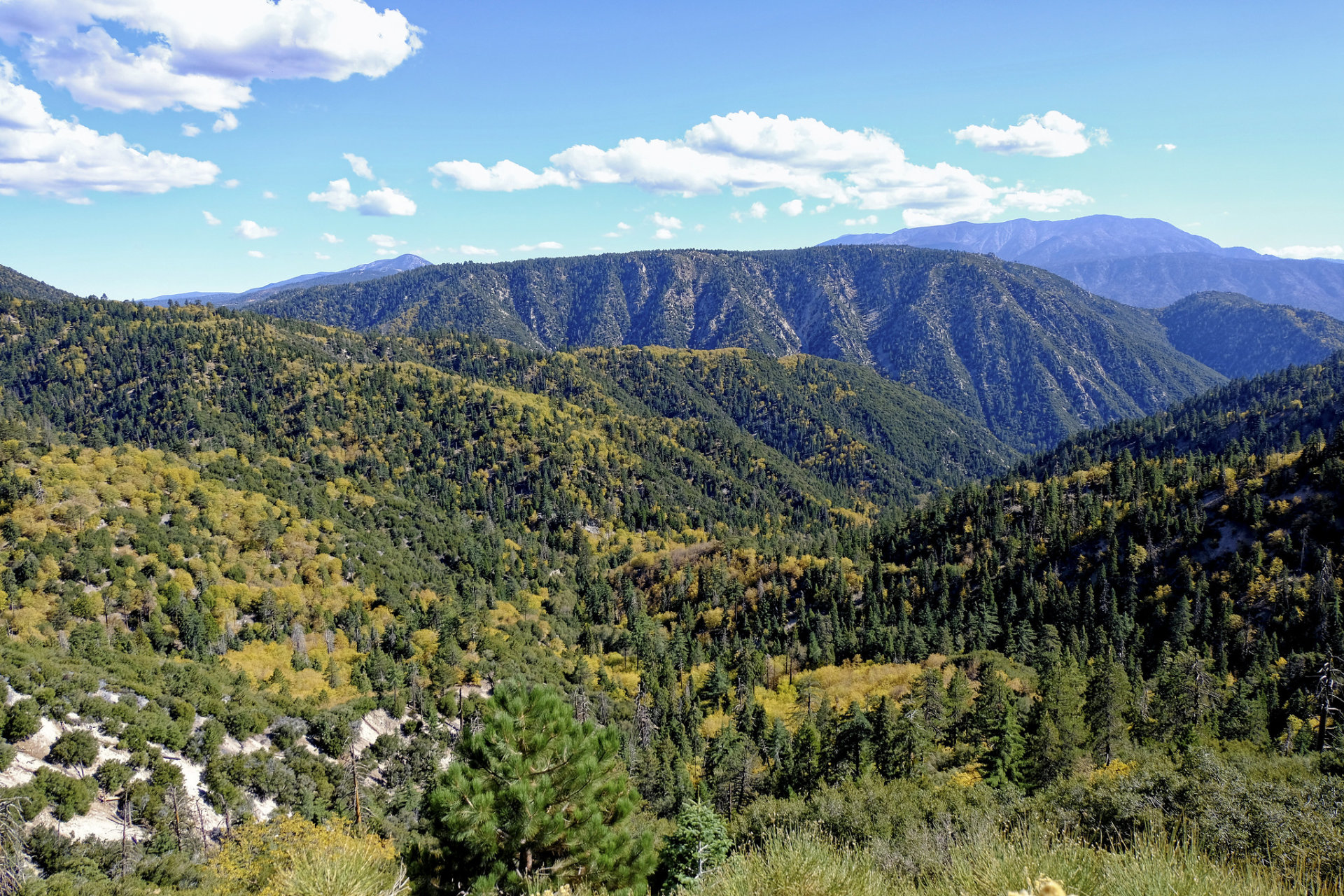 Couleurs d'automne du lac Big Bear