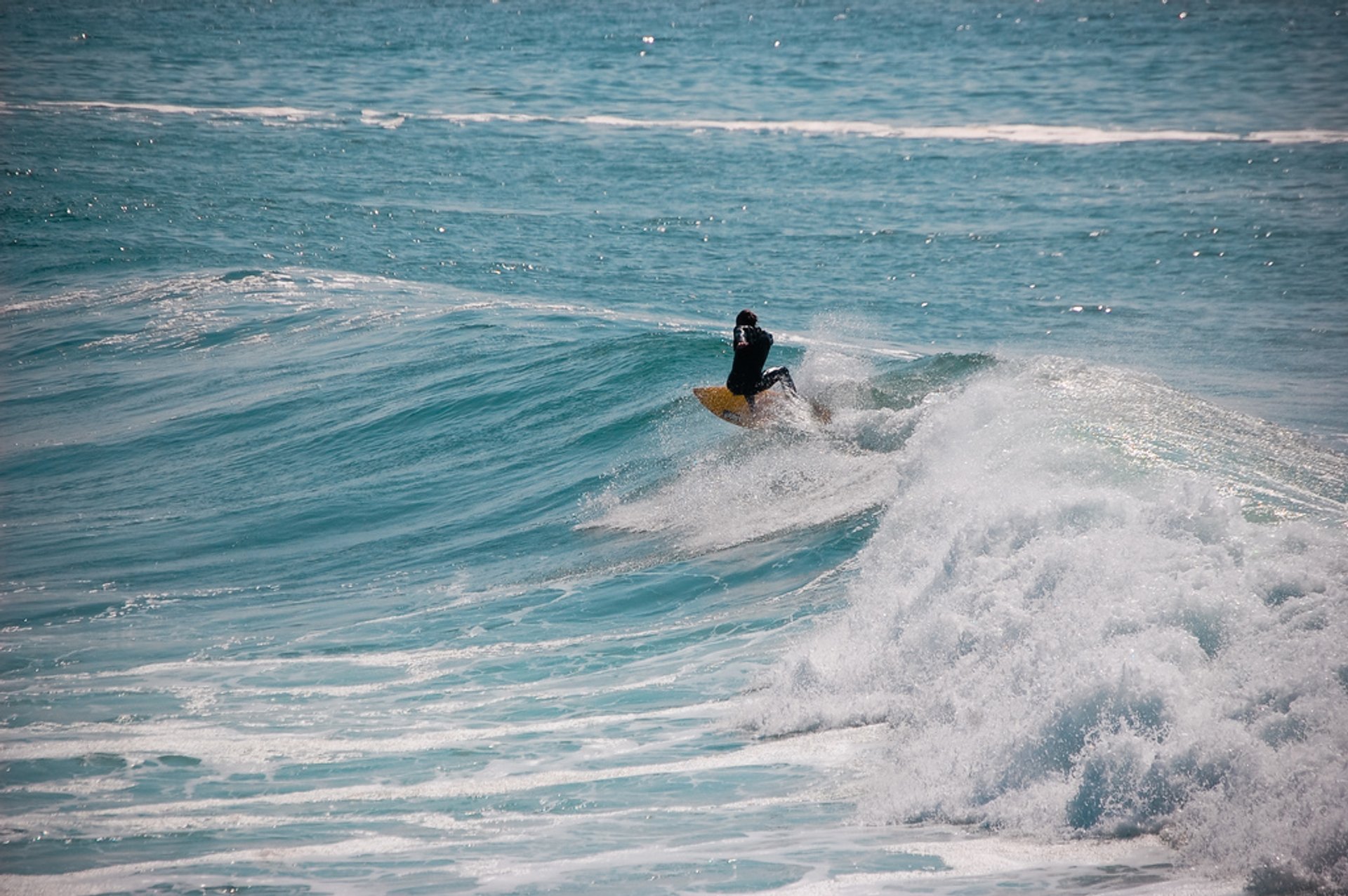 Surfing Season