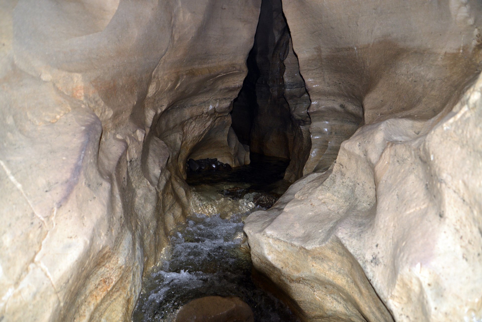 Höhlenwanderung bei Craigieburn