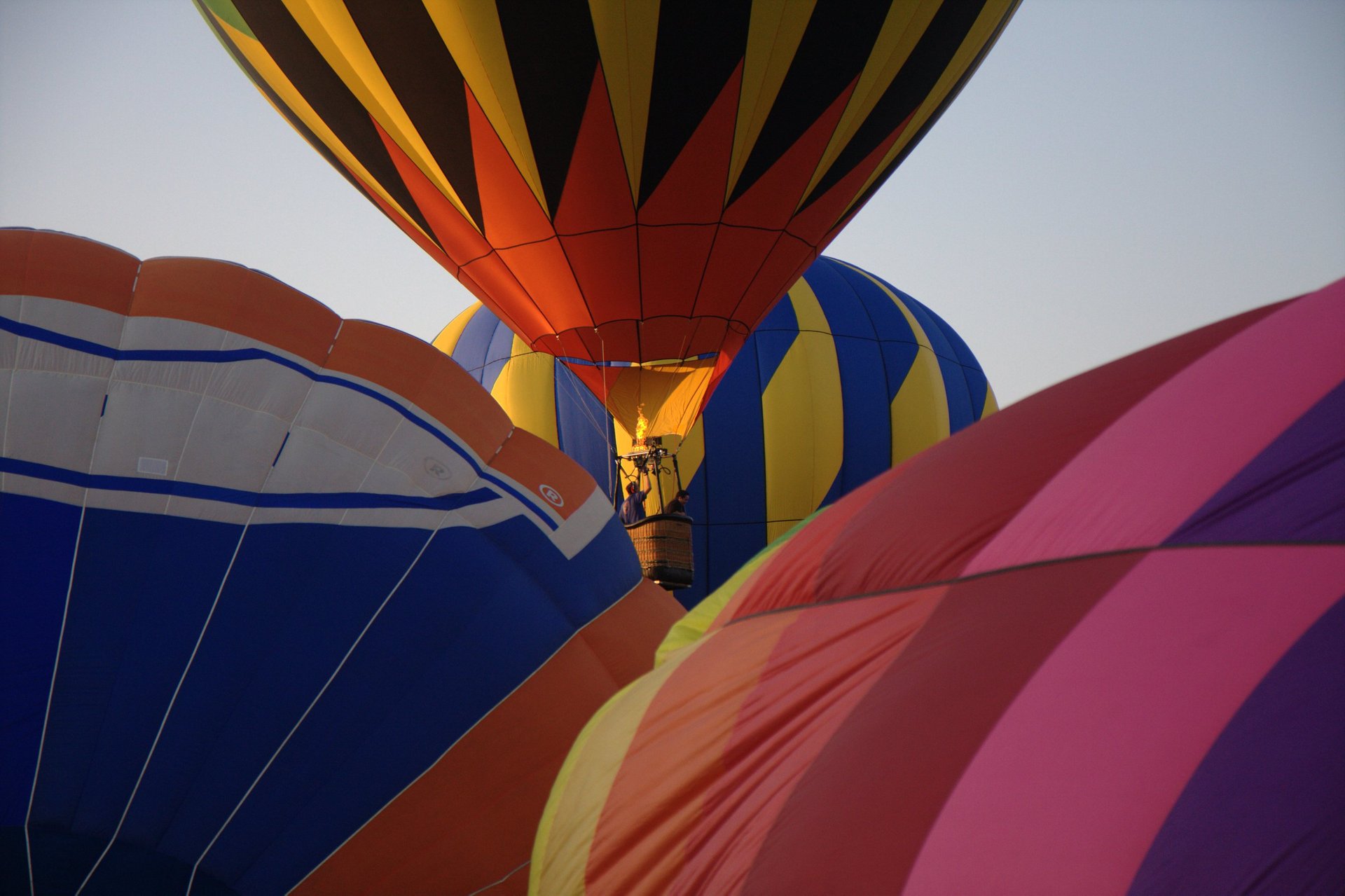 Plano Balloon Festival 2024 California Reeva Celestyn