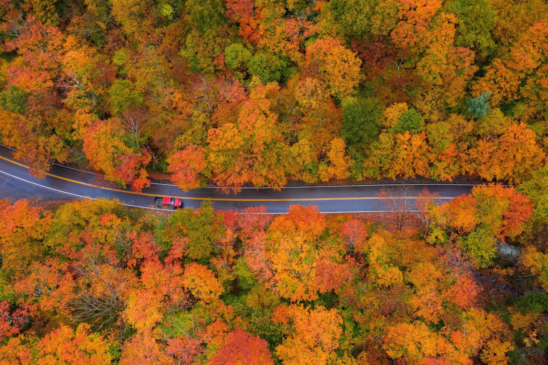 Foglie d'autunno del Vermont